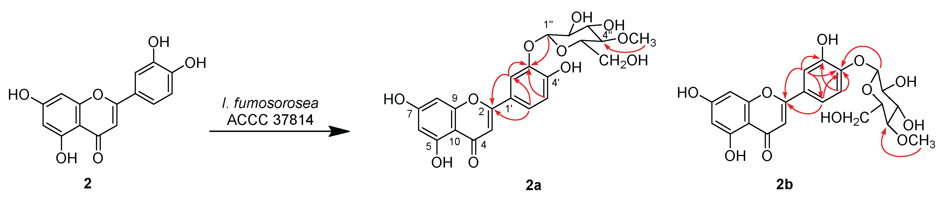 Molecules 24 01028 sch002