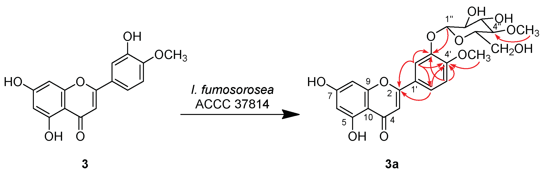 Molecules 24 01028 sch003