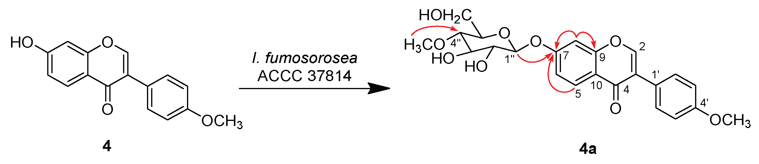 Molecules 24 01028 sch004