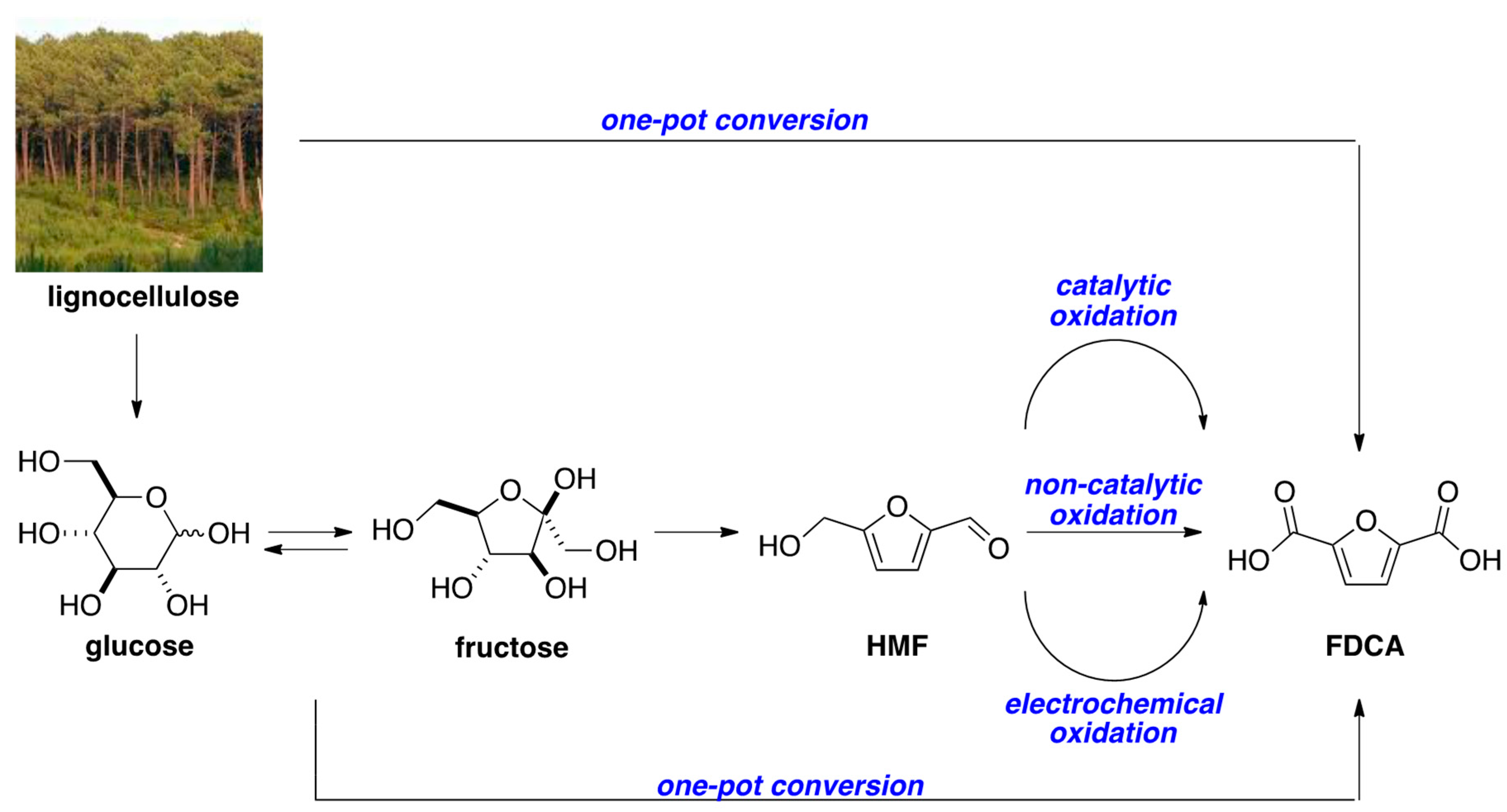 Molecules 24 01030 sch001 Molecules 24 01030 sch001