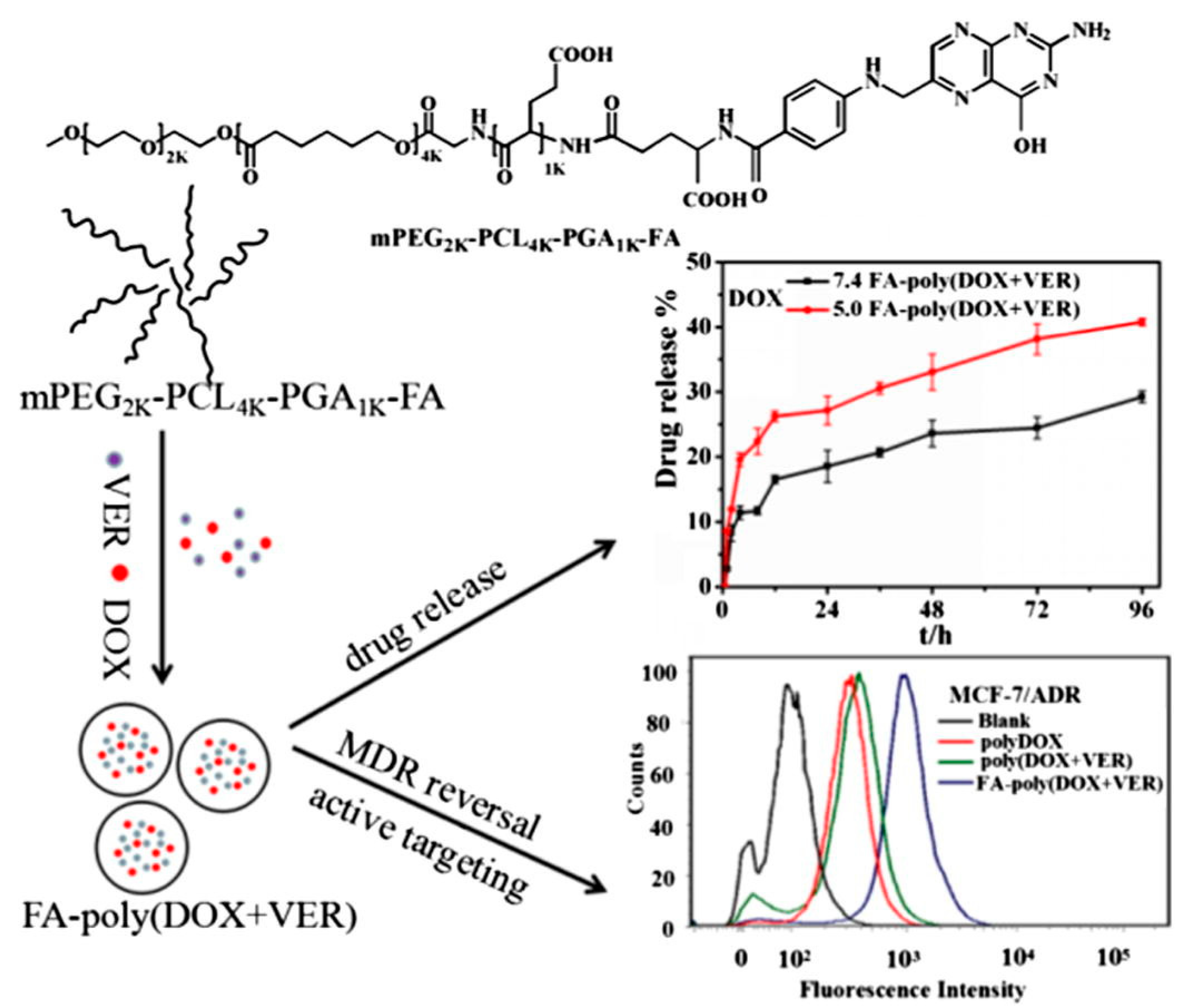 Molecules 24 01035 g002