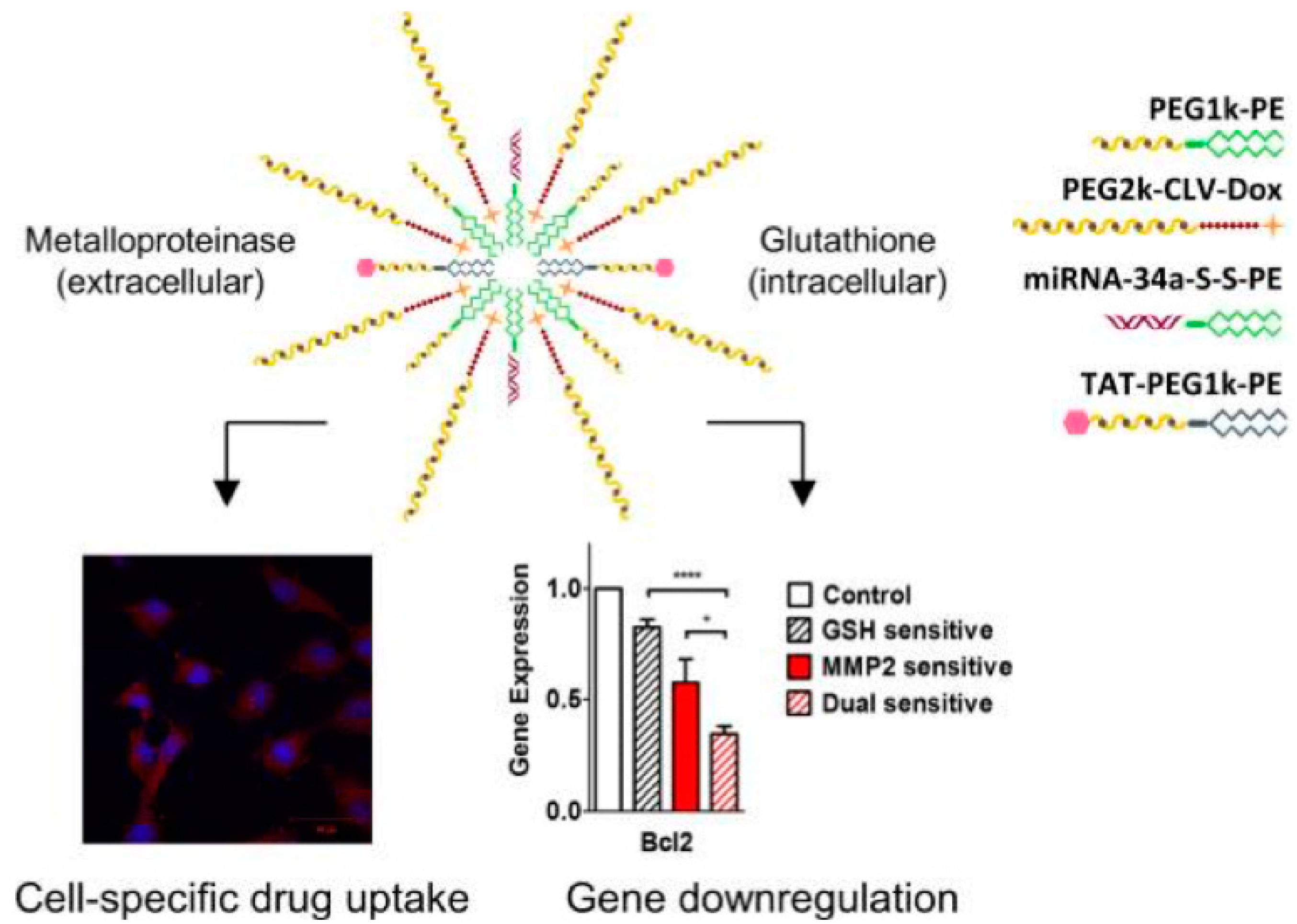 Molecules 24 01035 g003
