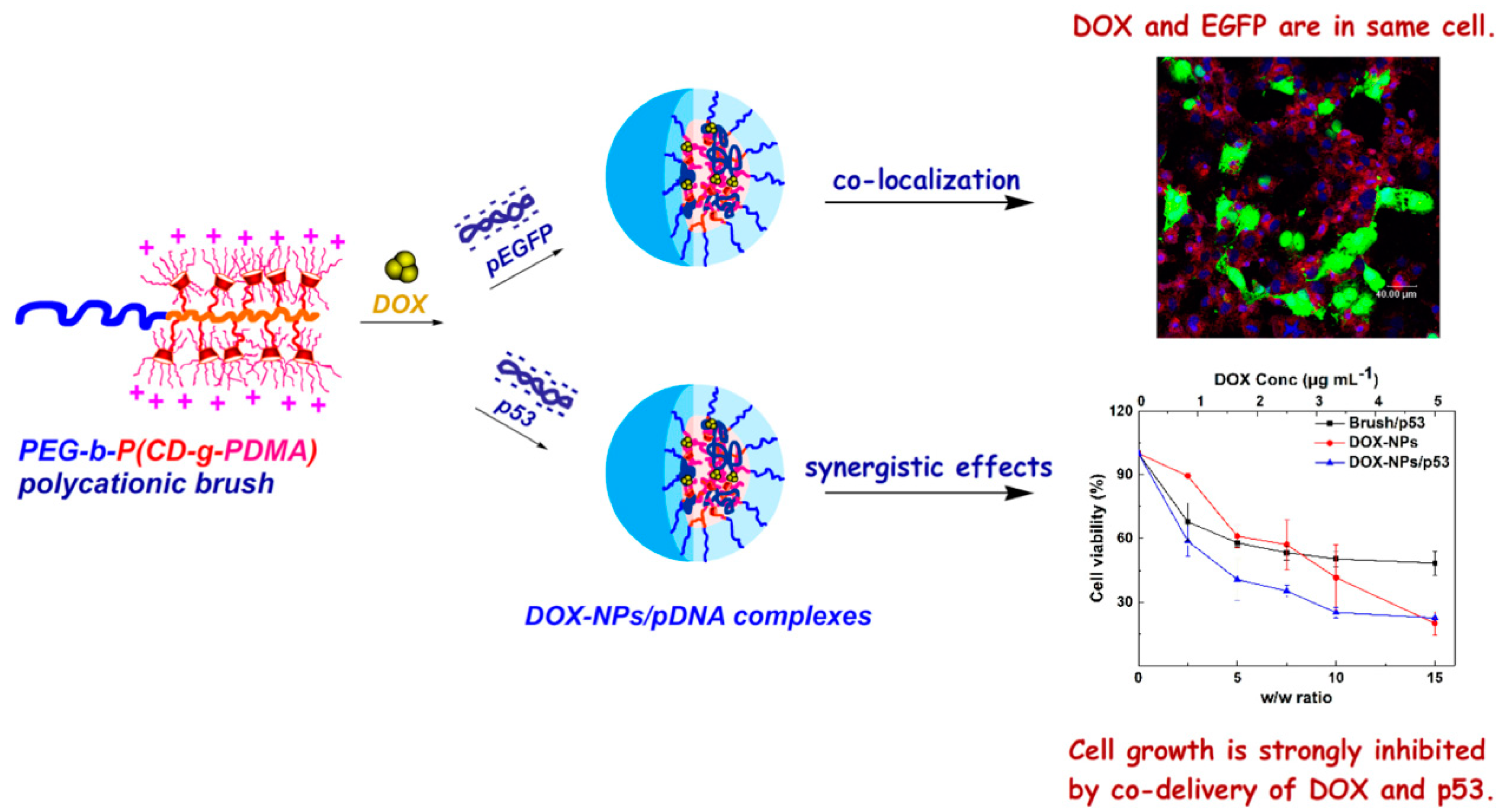 Molecules 24 01035 g005