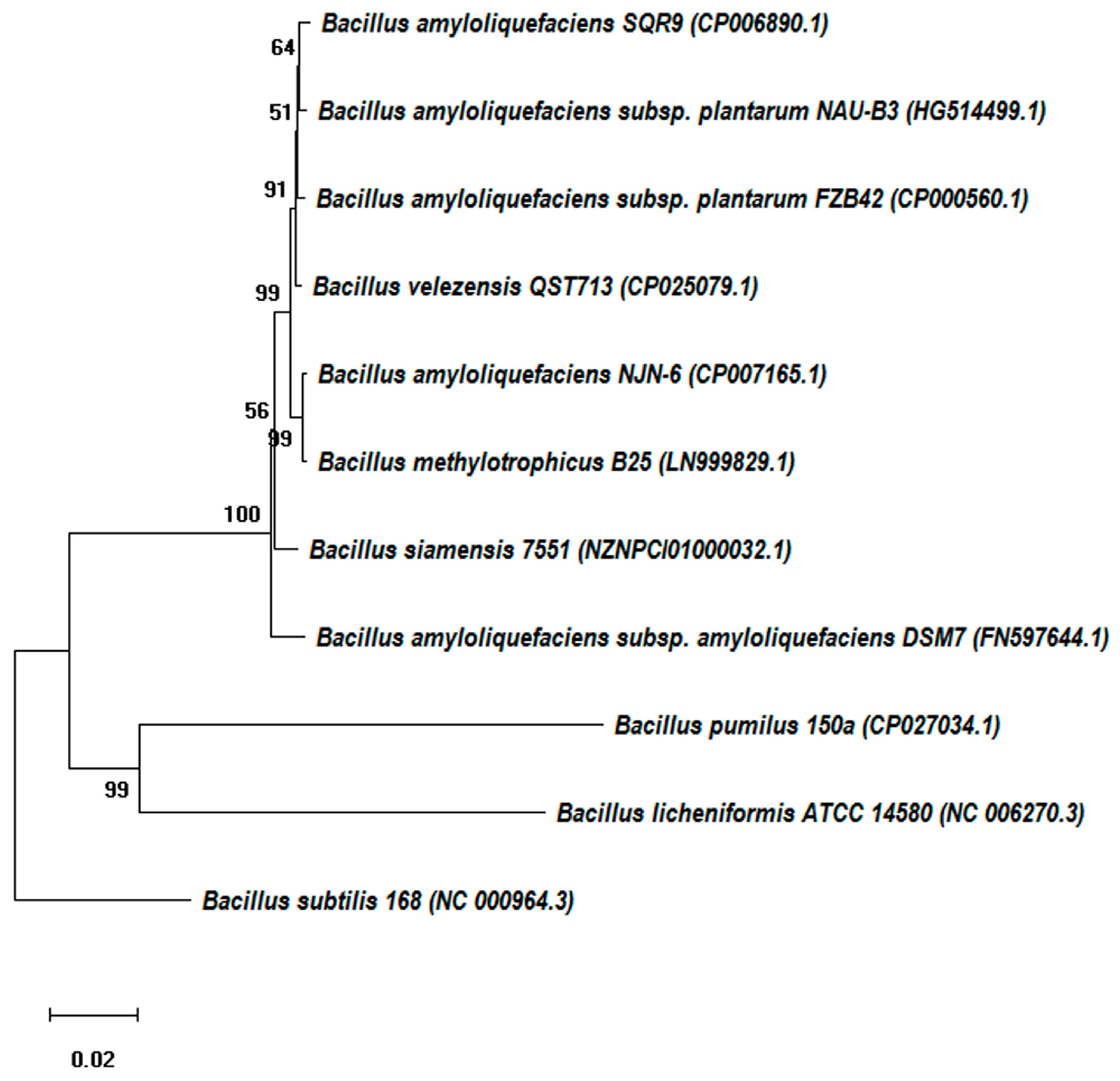 Molecules 24 01046 g002
