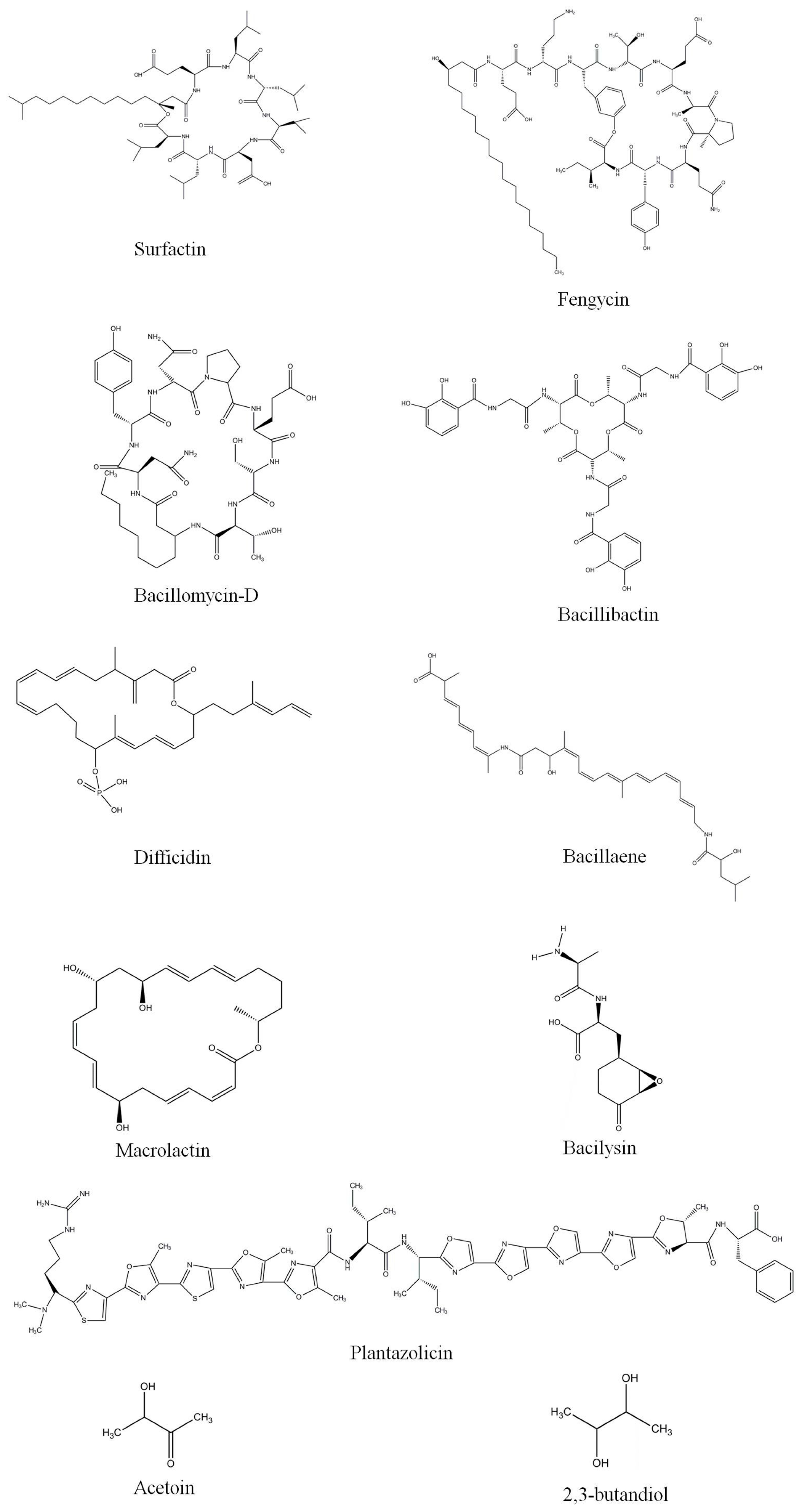Molecules 24 01046 g003