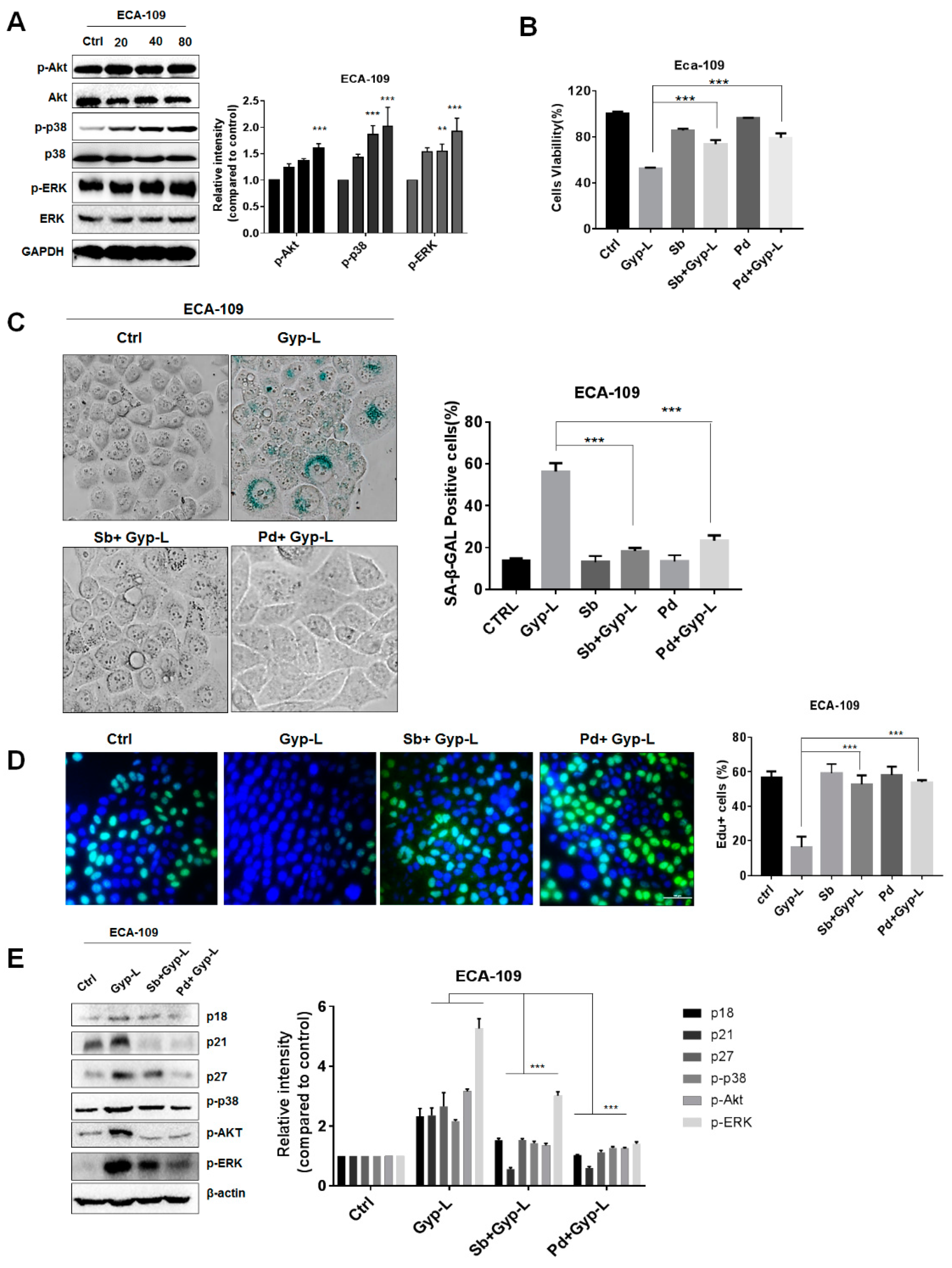 Molecules 24 01054 g003