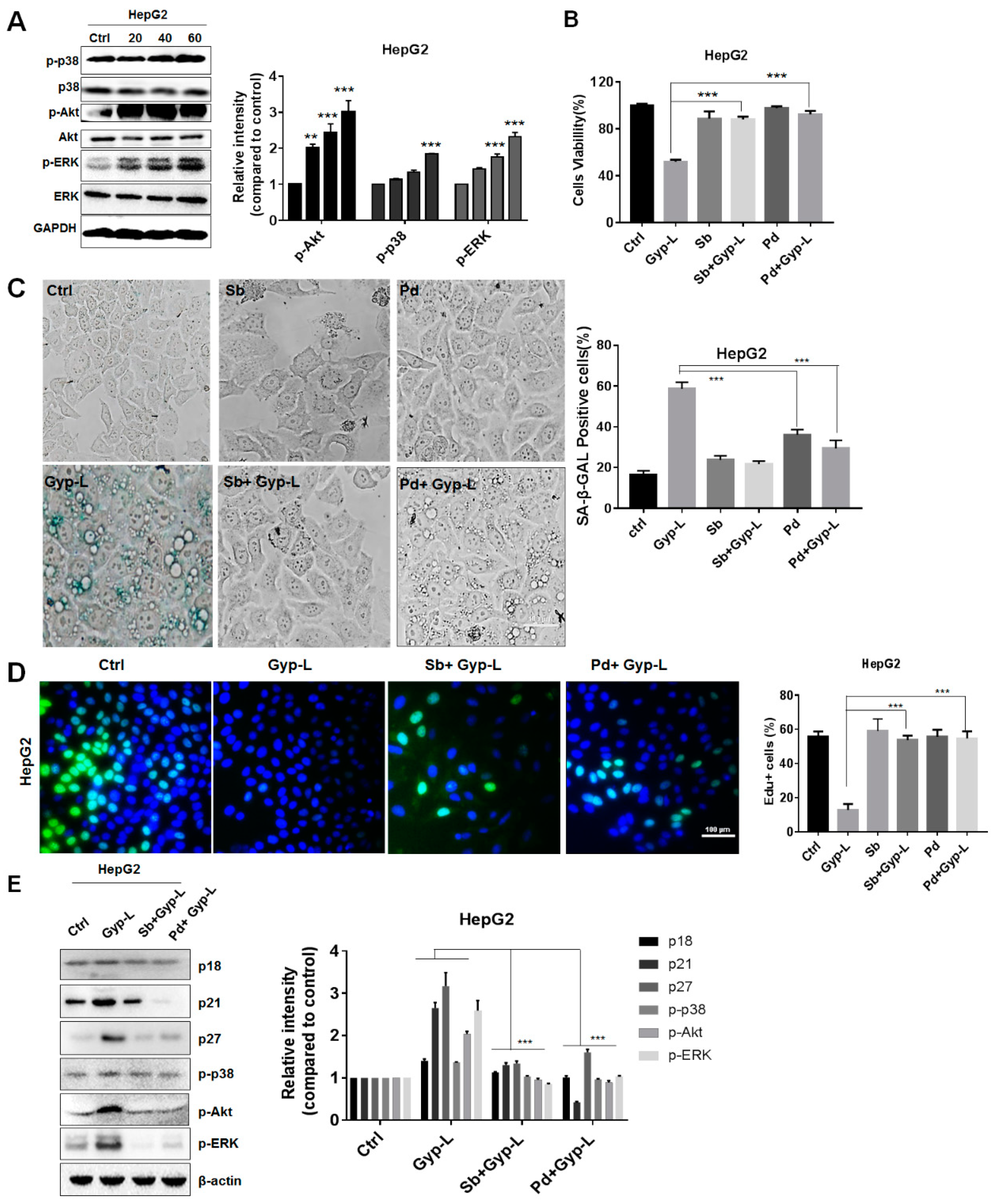 Molecules 24 01054 g004