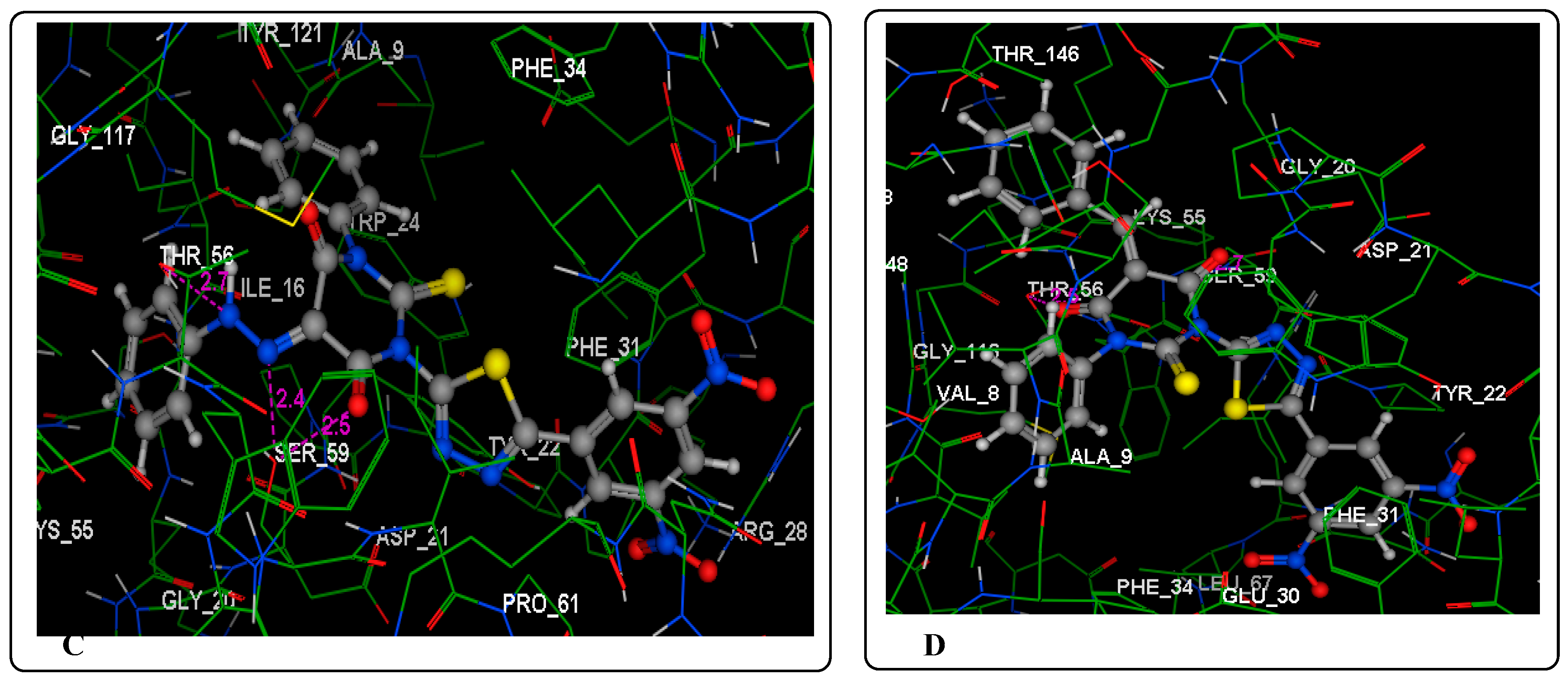 Molecules 24 01066 g006b