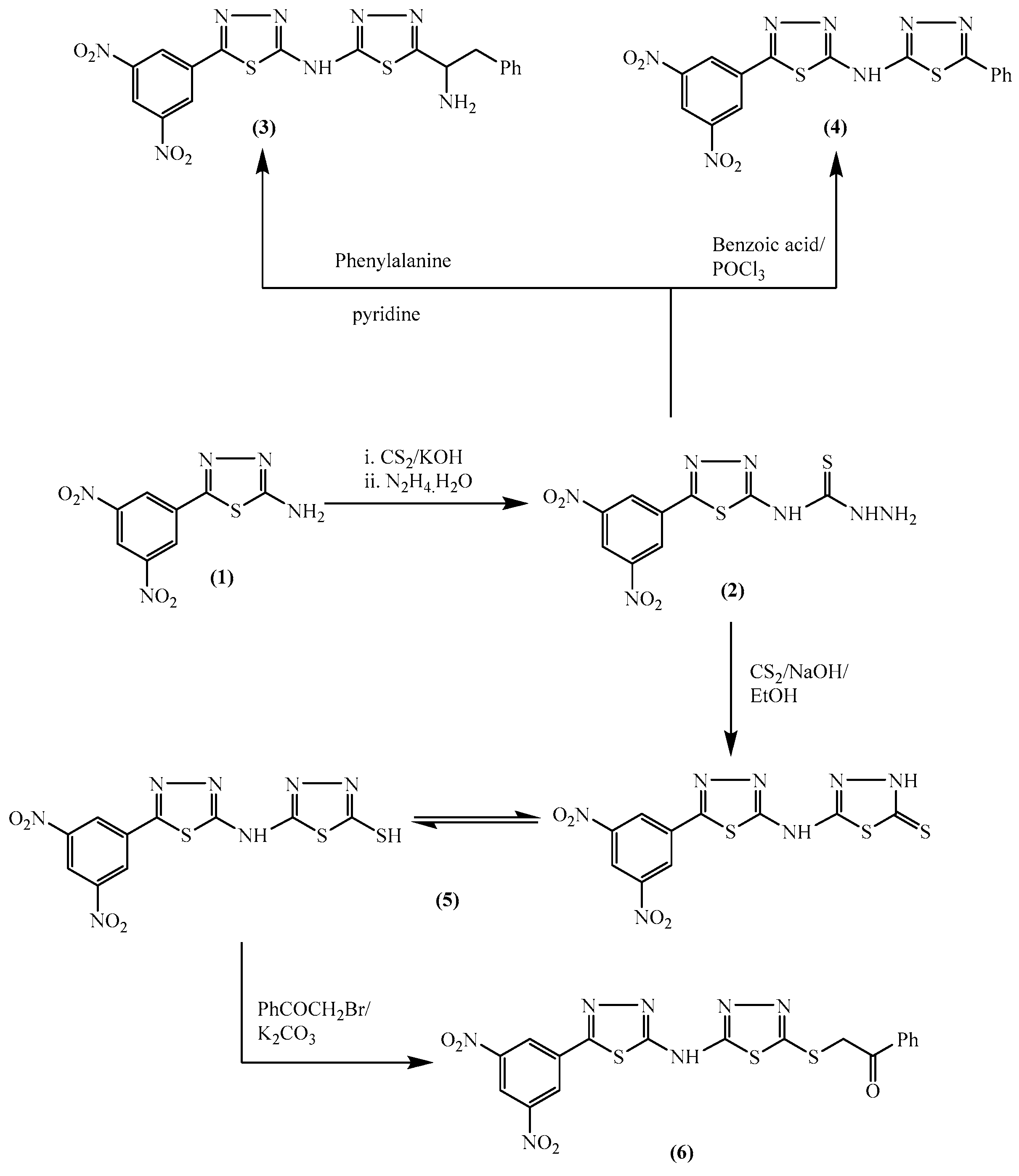 Molecules 24 01066 sch001