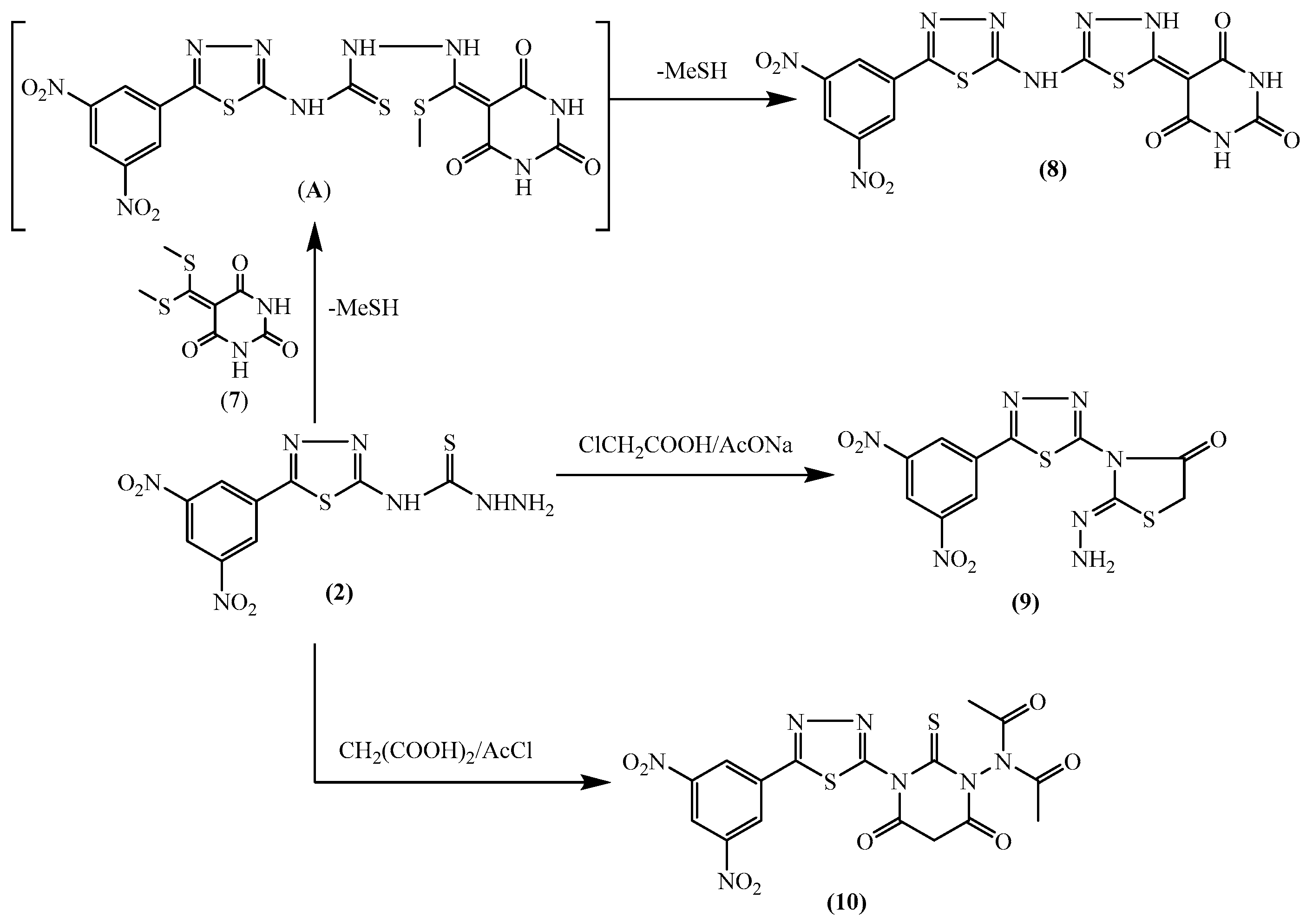 Molecules 24 01066 sch002
