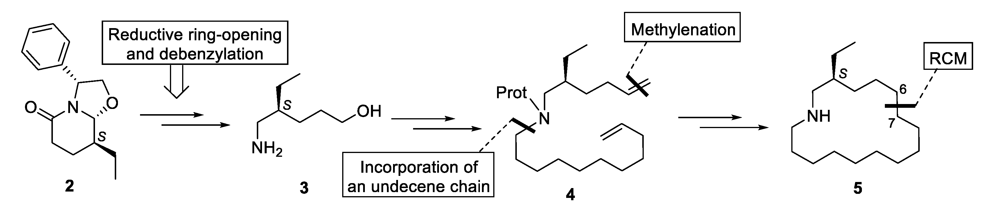 Molecules 24 01069 sch001