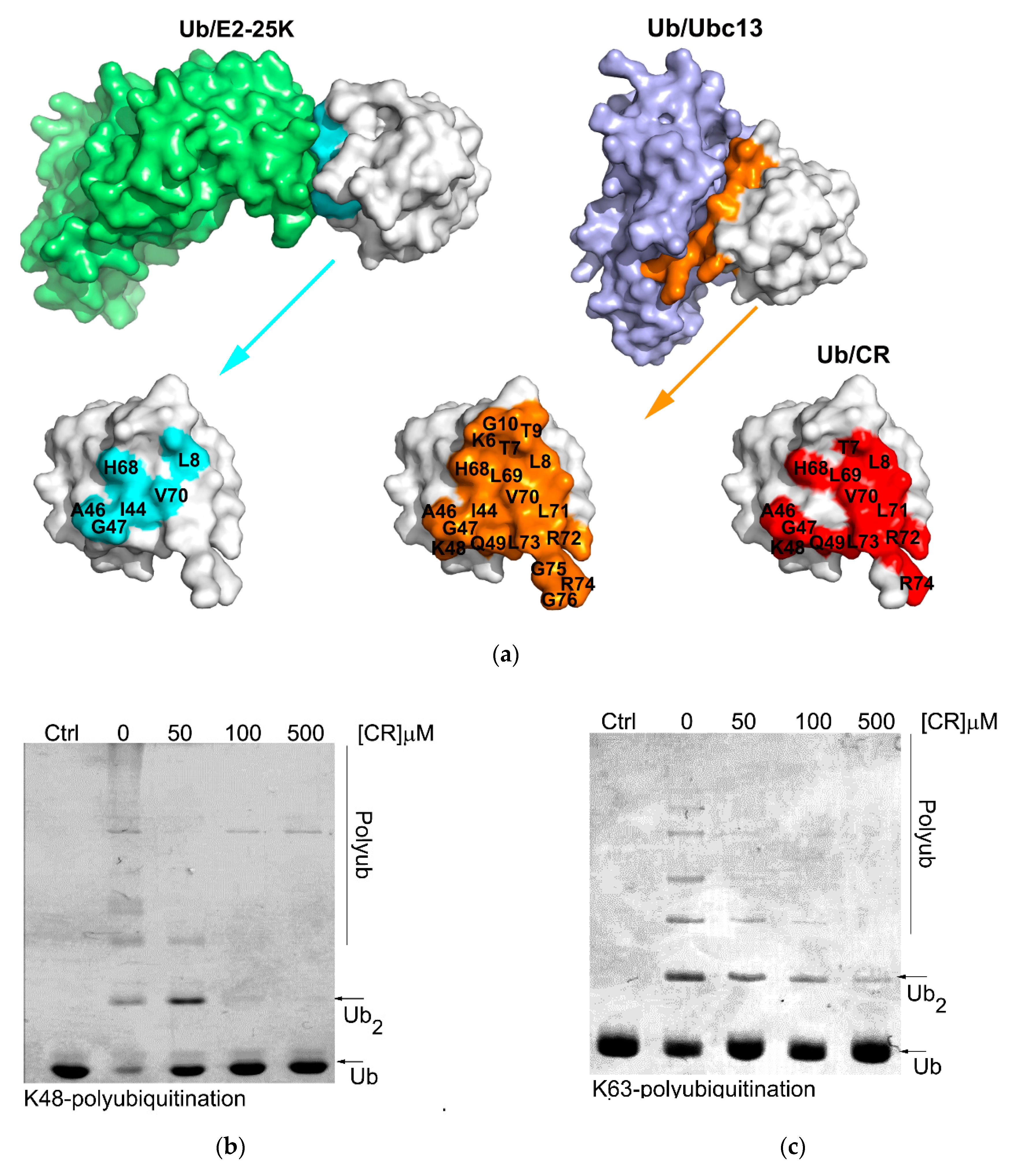 Molecules 24 01073 g005