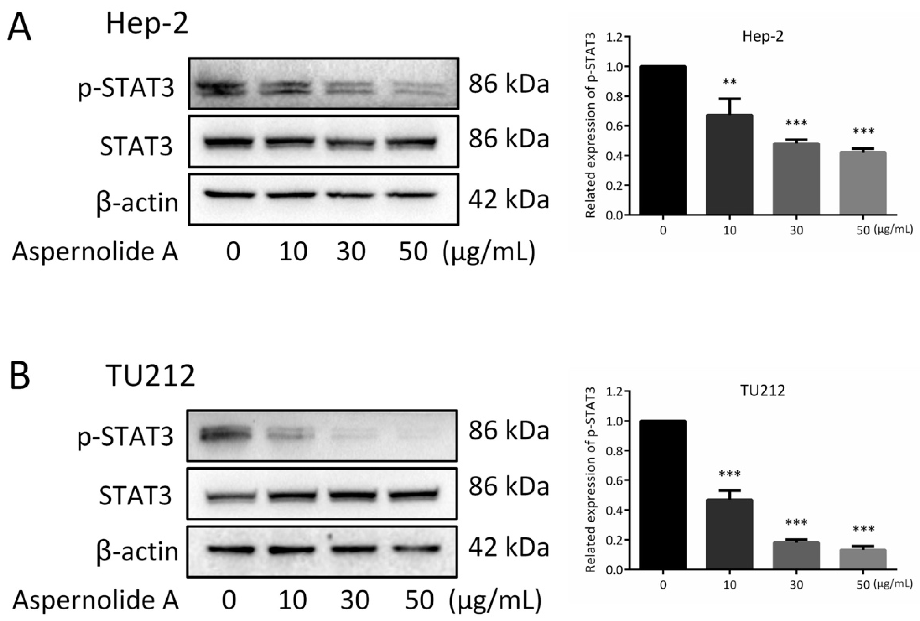 Molecules 24 01074 g006 Molecules 24 01074 g006