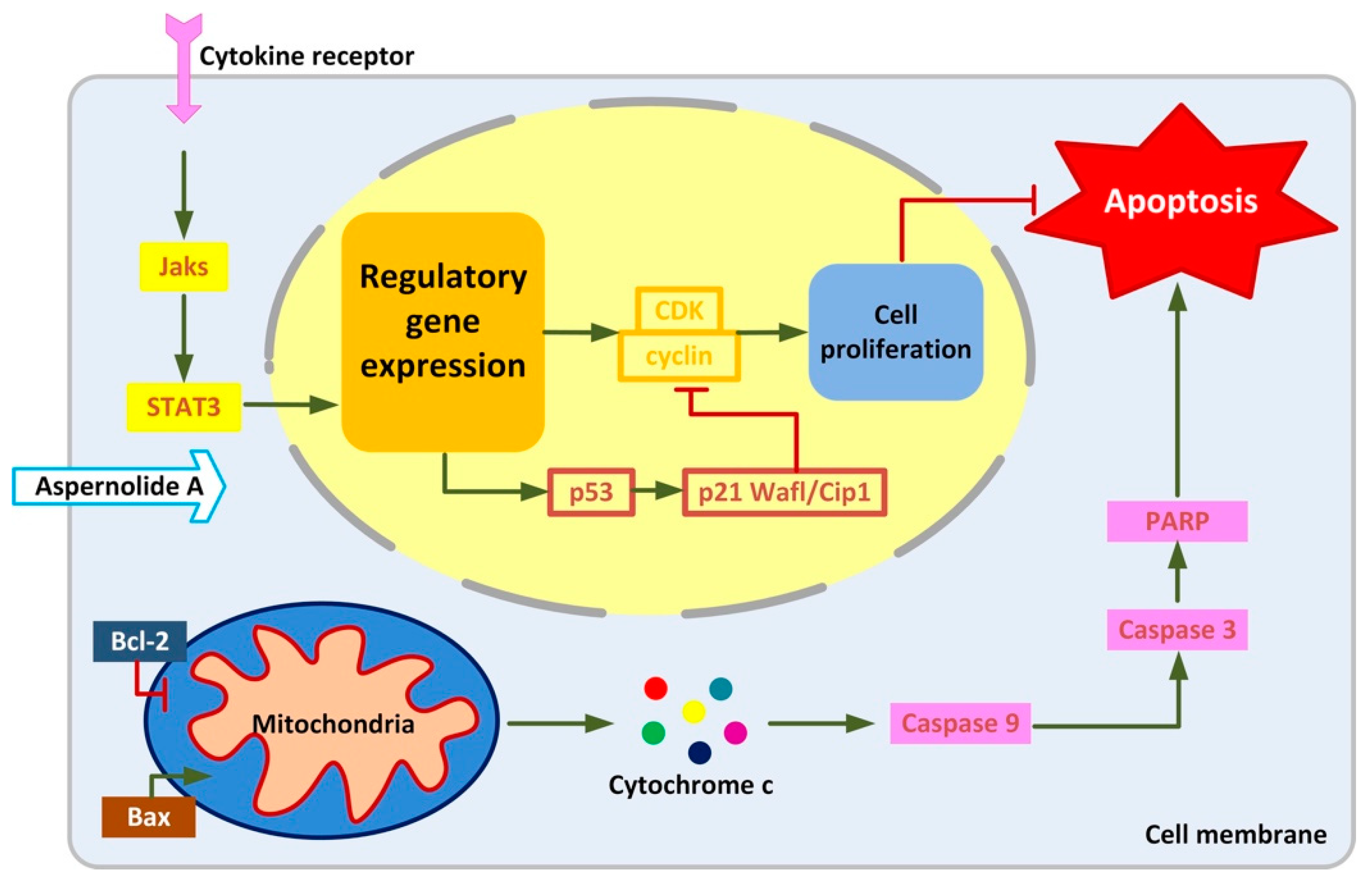Molecules 24 01074 g008 Molecules 24 01074 g008