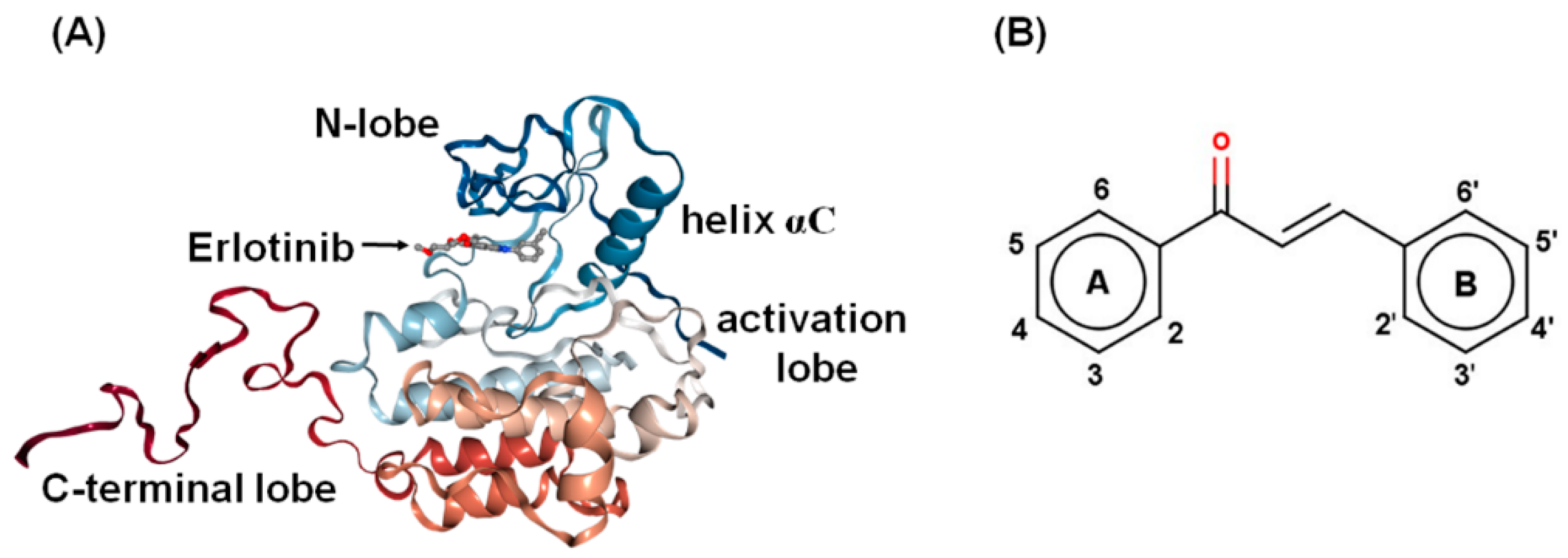 Molecules 24 01092 g001