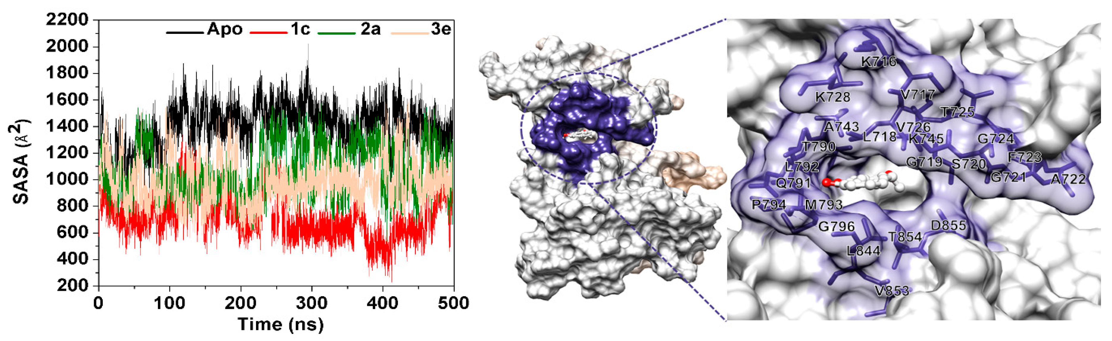 Molecules 24 01092 g007