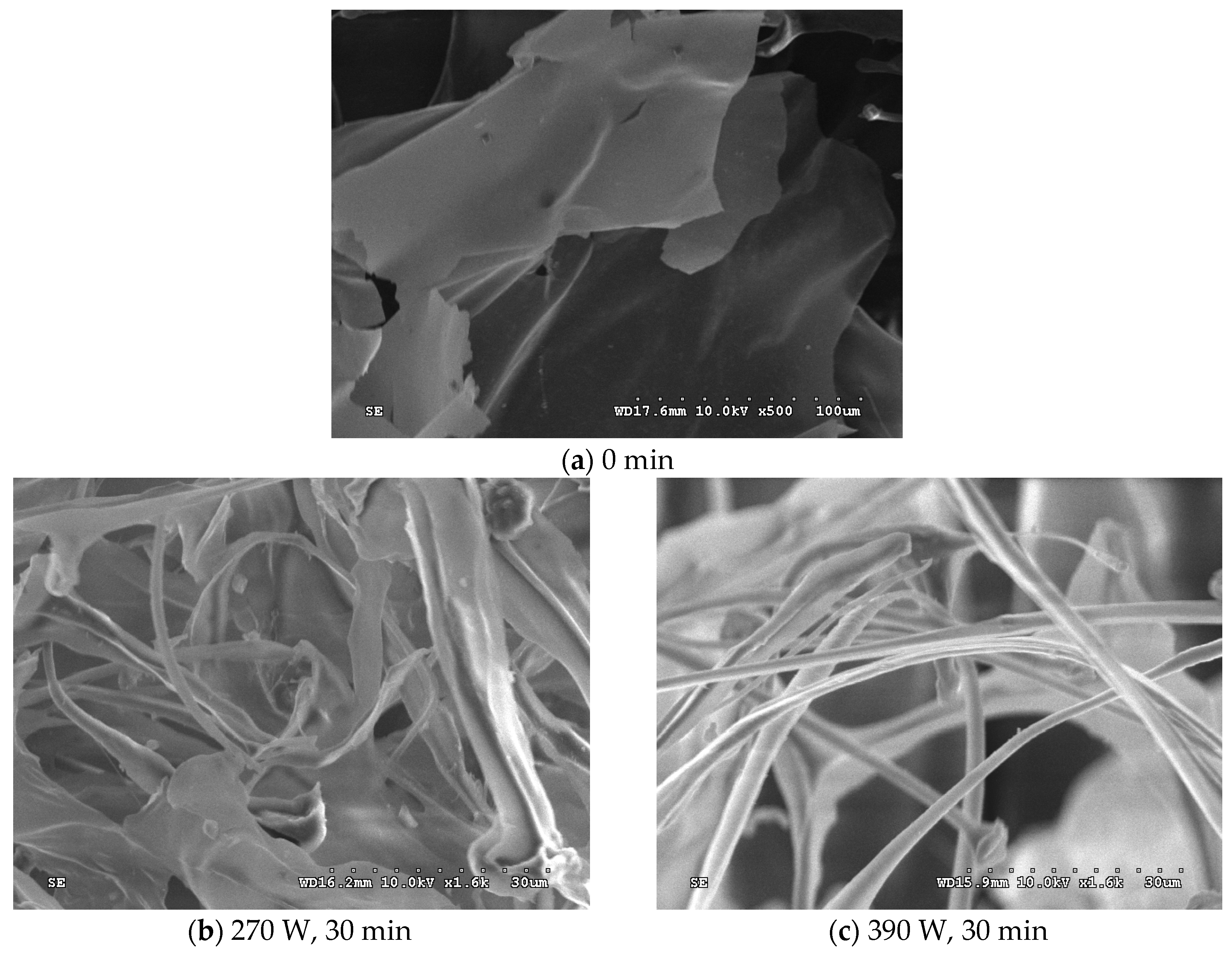 Molecules 24 01097 g004 Molecules 24 01097 g004