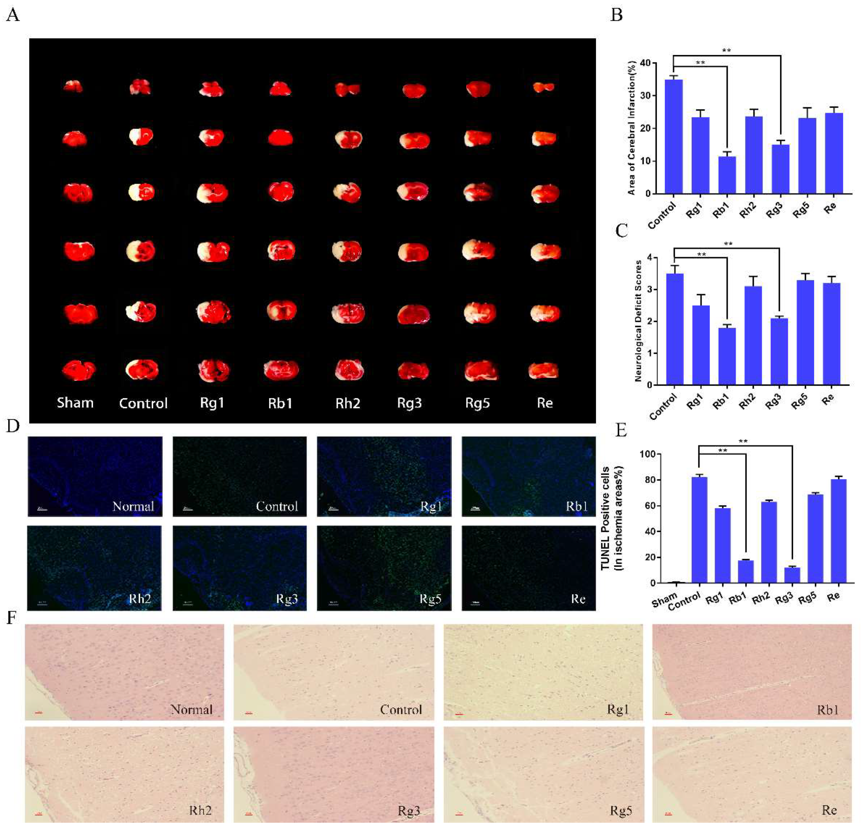 Molecules 24 01102 g004