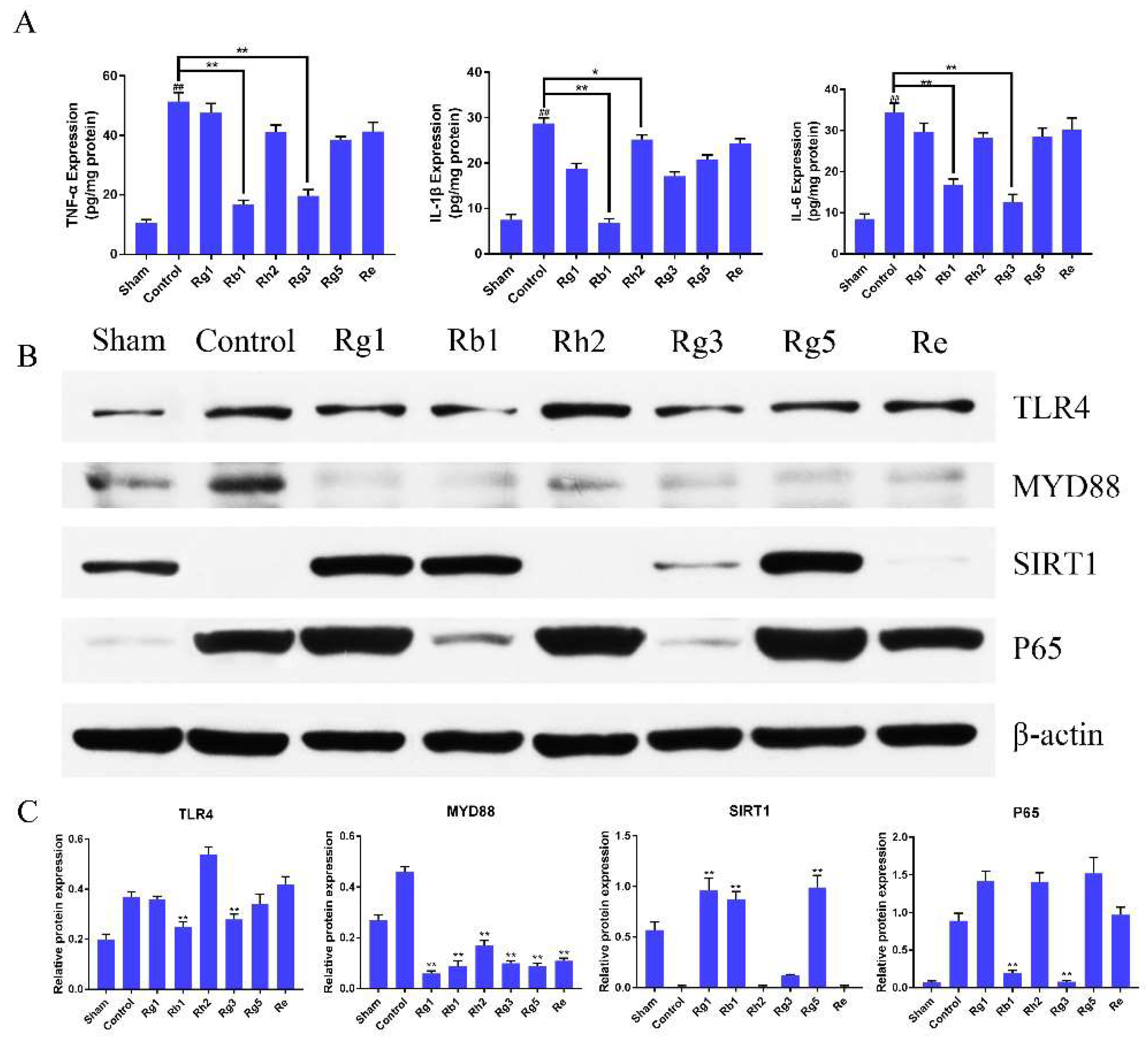 Molecules 24 01102 g005