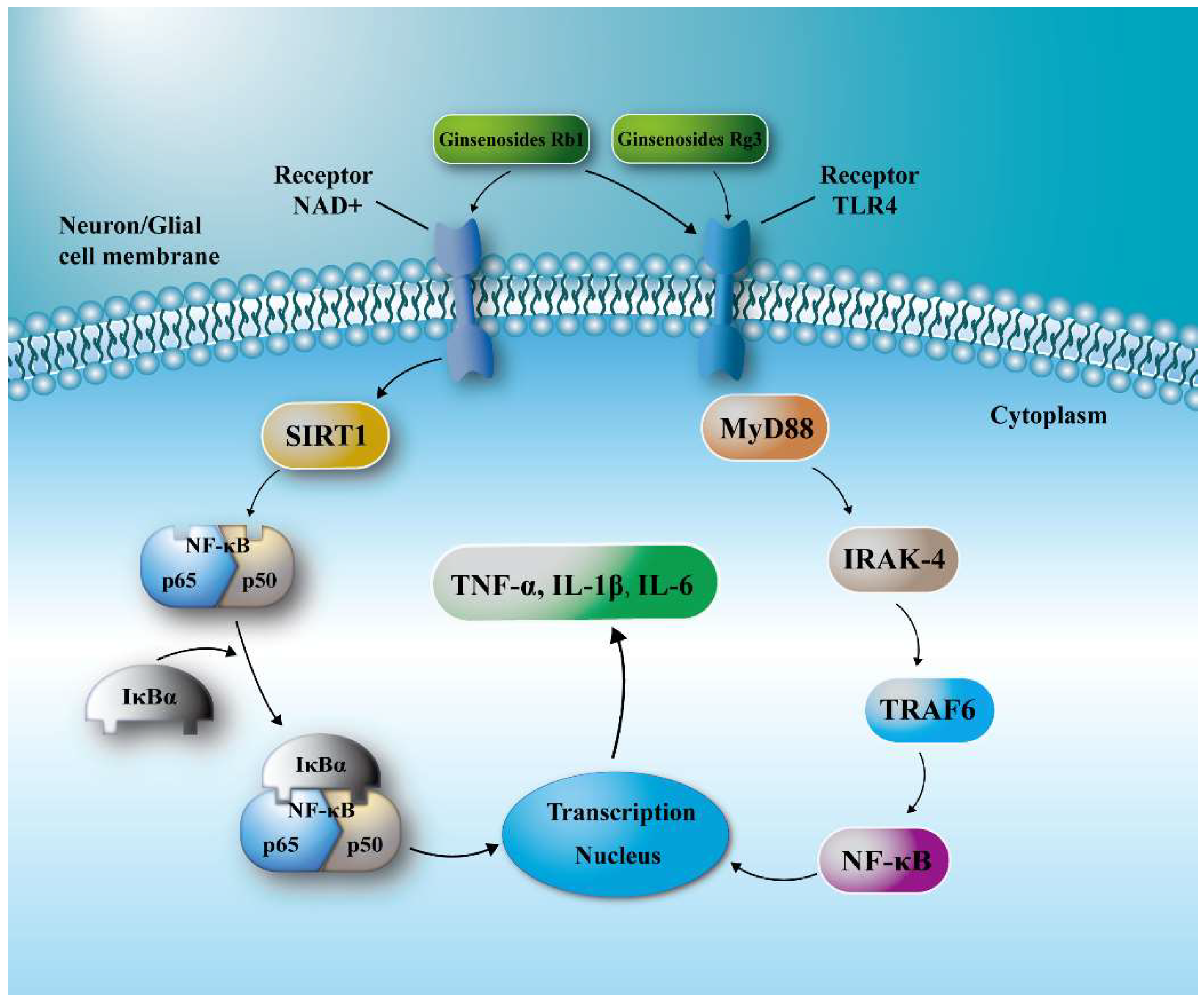 Molecules 24 01102 g006