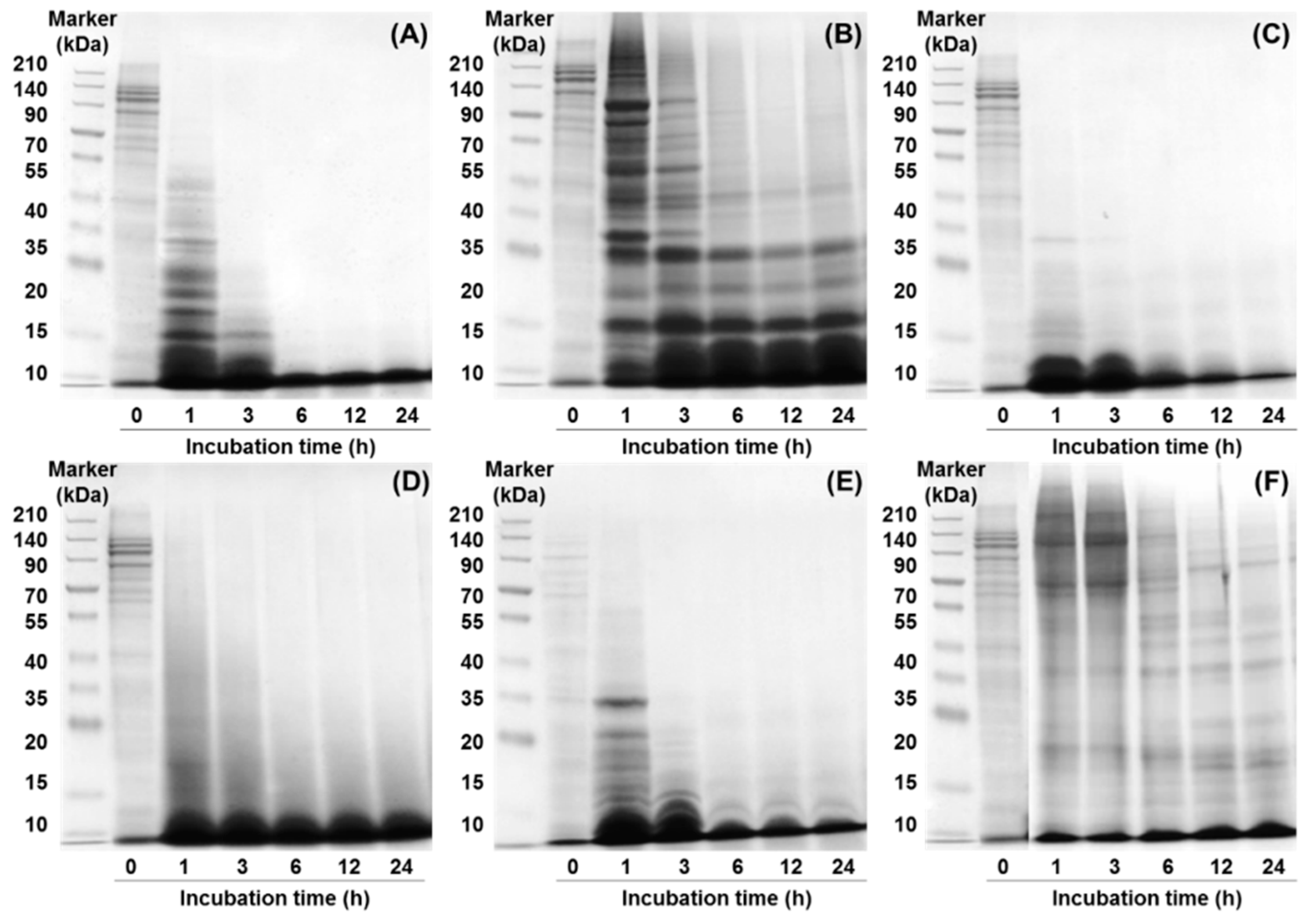 Molecules 24 01104 g002
