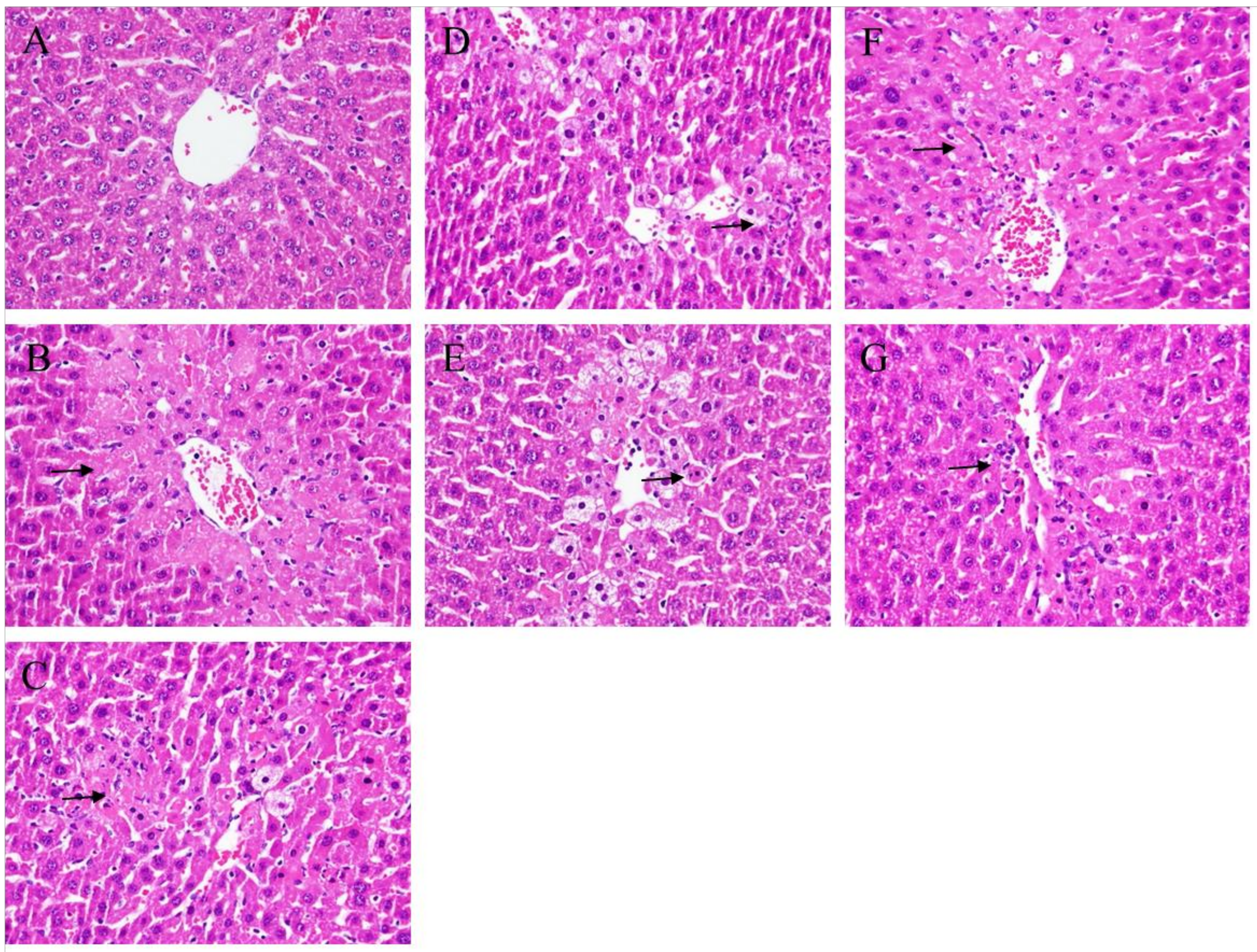 Molecules 24 01112 g002