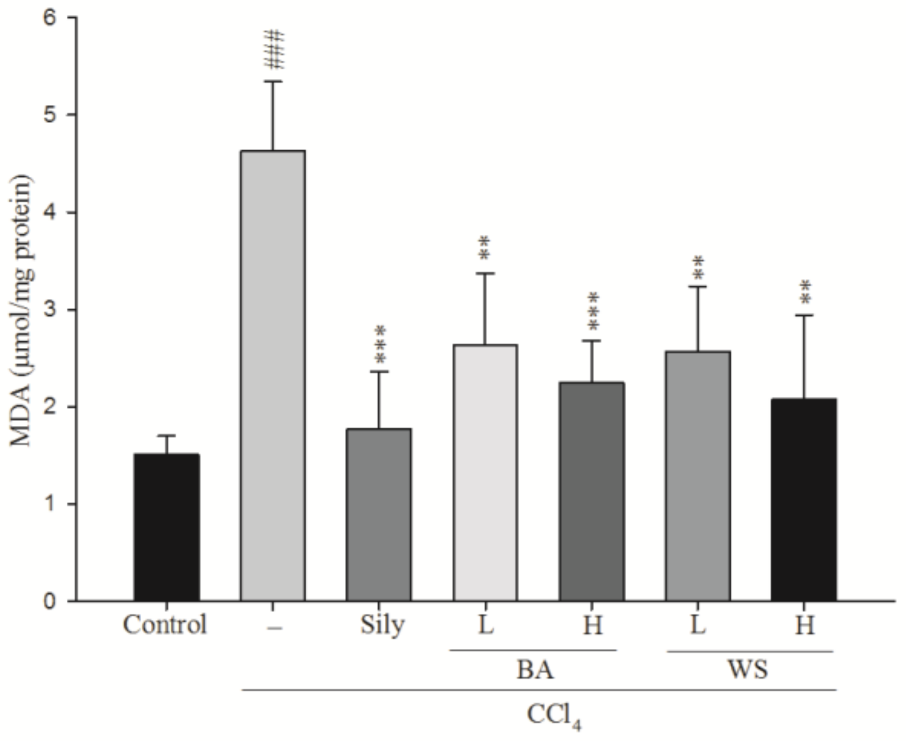Molecules 24 01112 g004