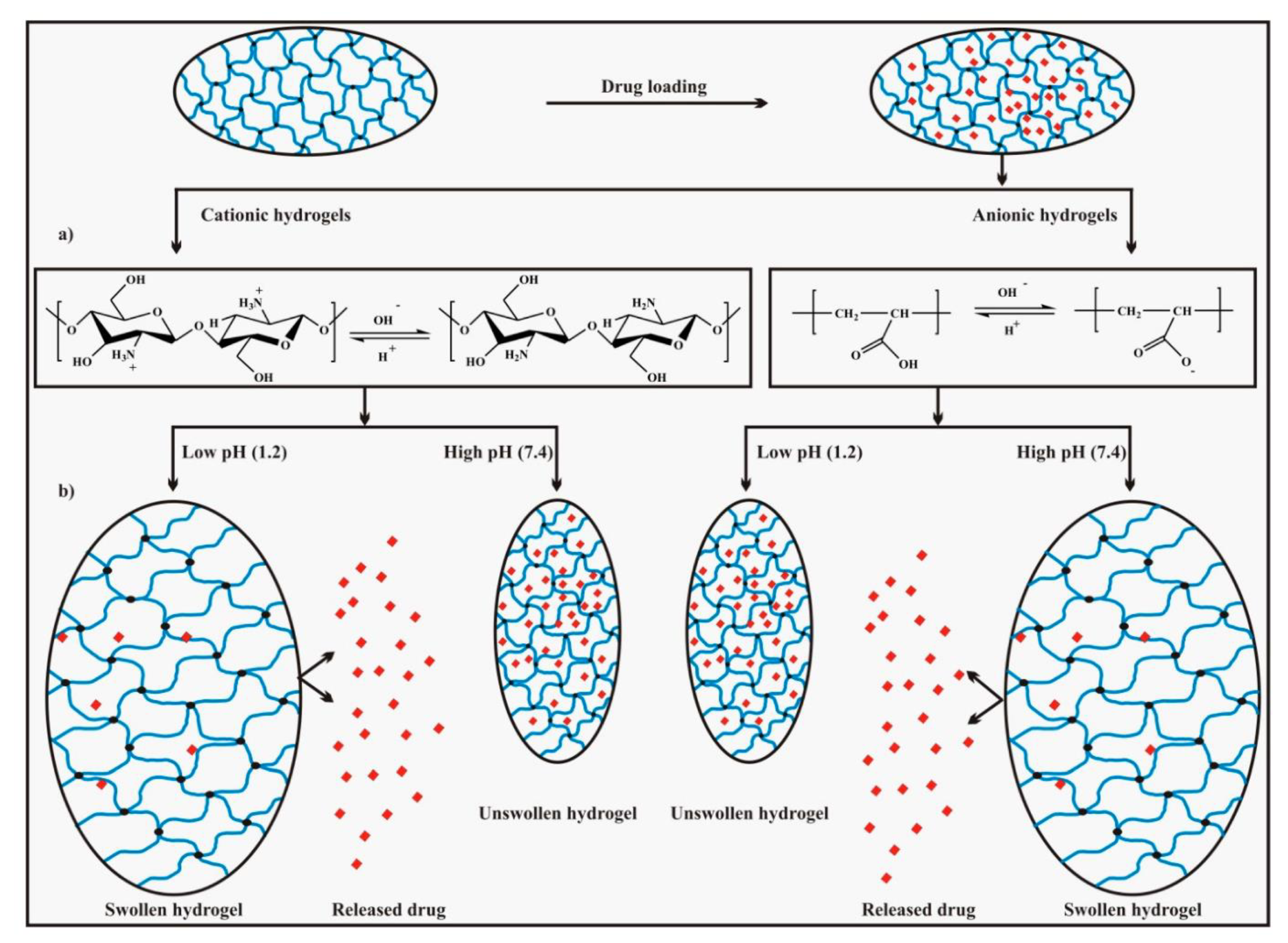 Molecules 24 01117 g004 Molecules 24 01117 g004