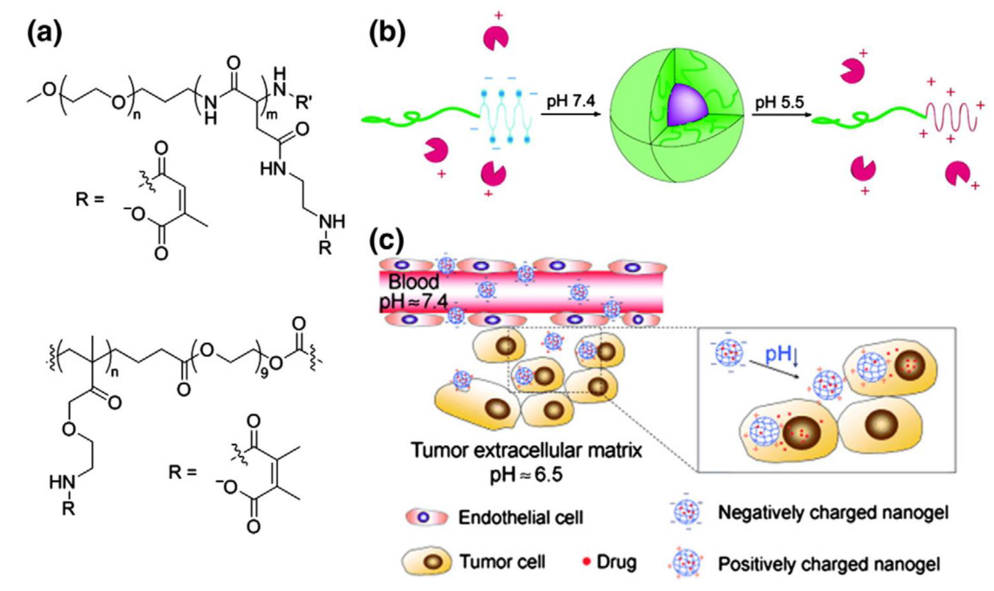 Molecules 24 01117 g005 Molecules 24 01117 g005