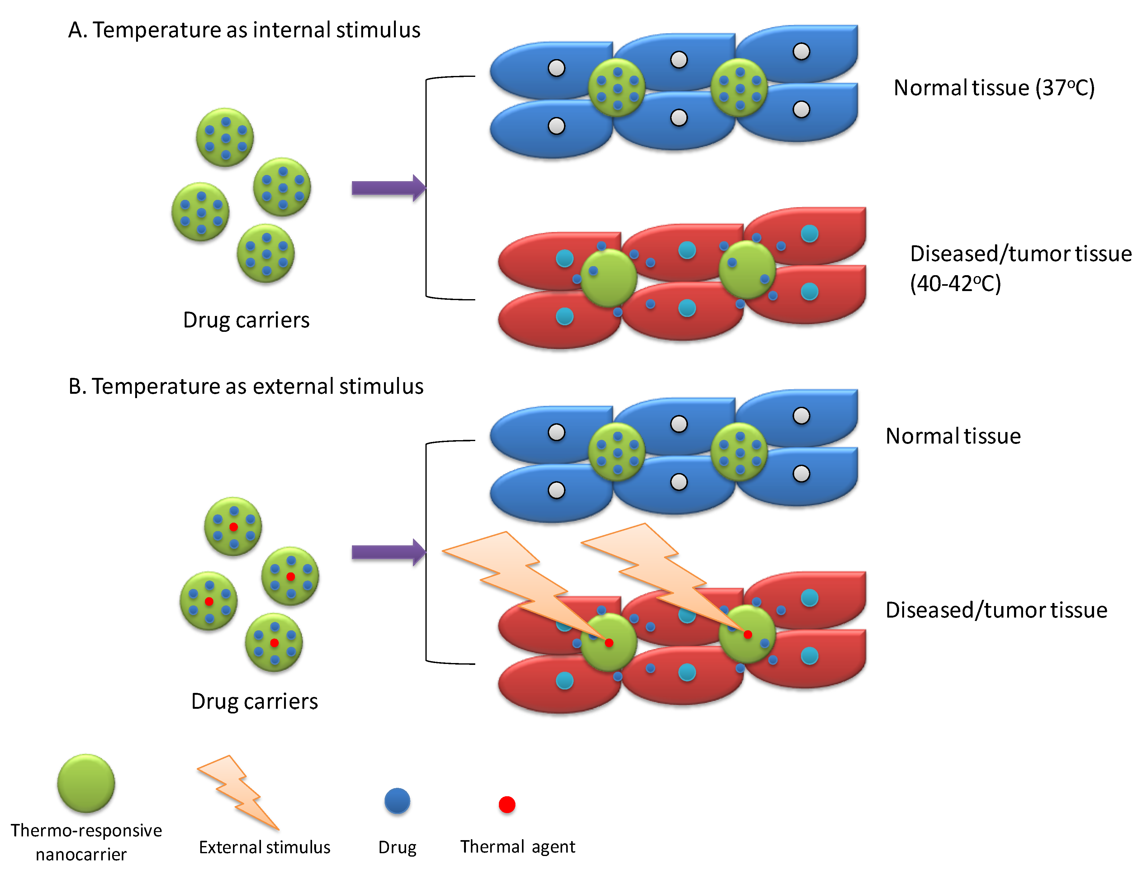 Molecules 24 01117 g007 Molecules 24 01117 g007