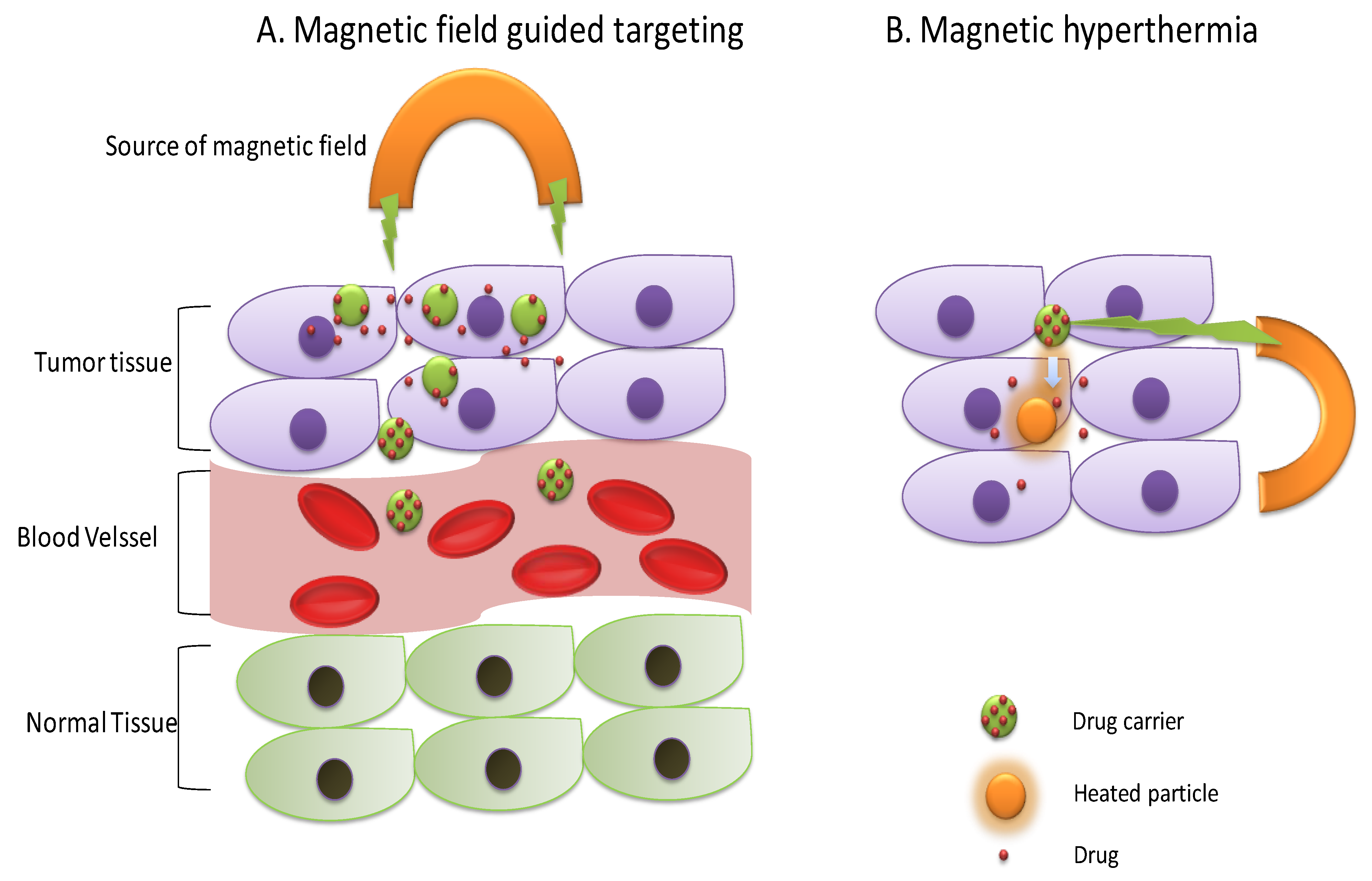 Molecules 24 01117 g009 Molecules 24 01117 g009