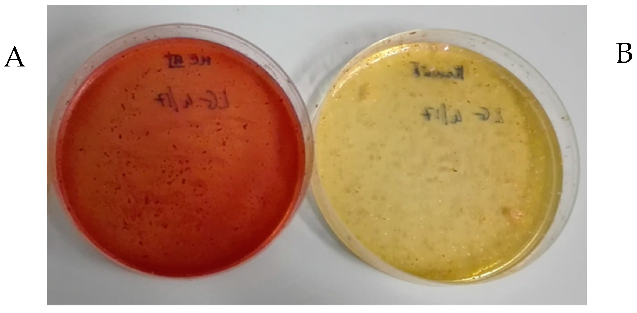 Molecules 24 01120 g006
