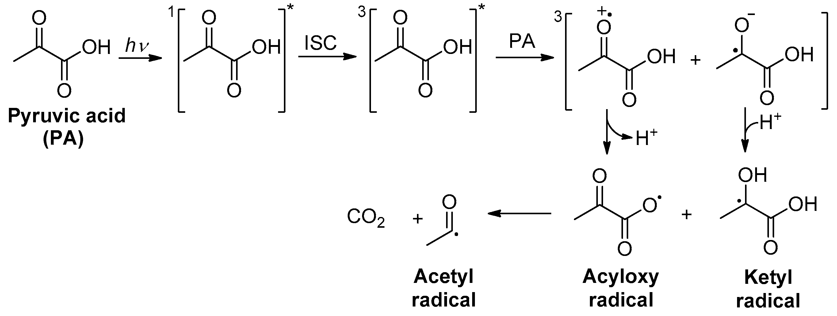 Molecules 24 01124 sch001
