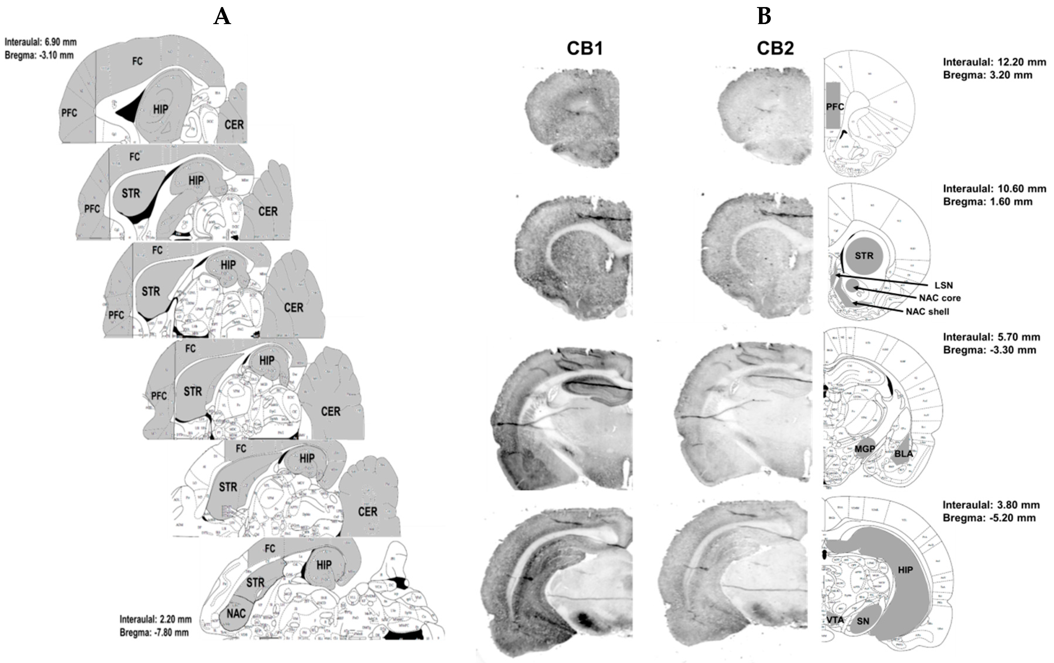 Molecules 24 01125 g008