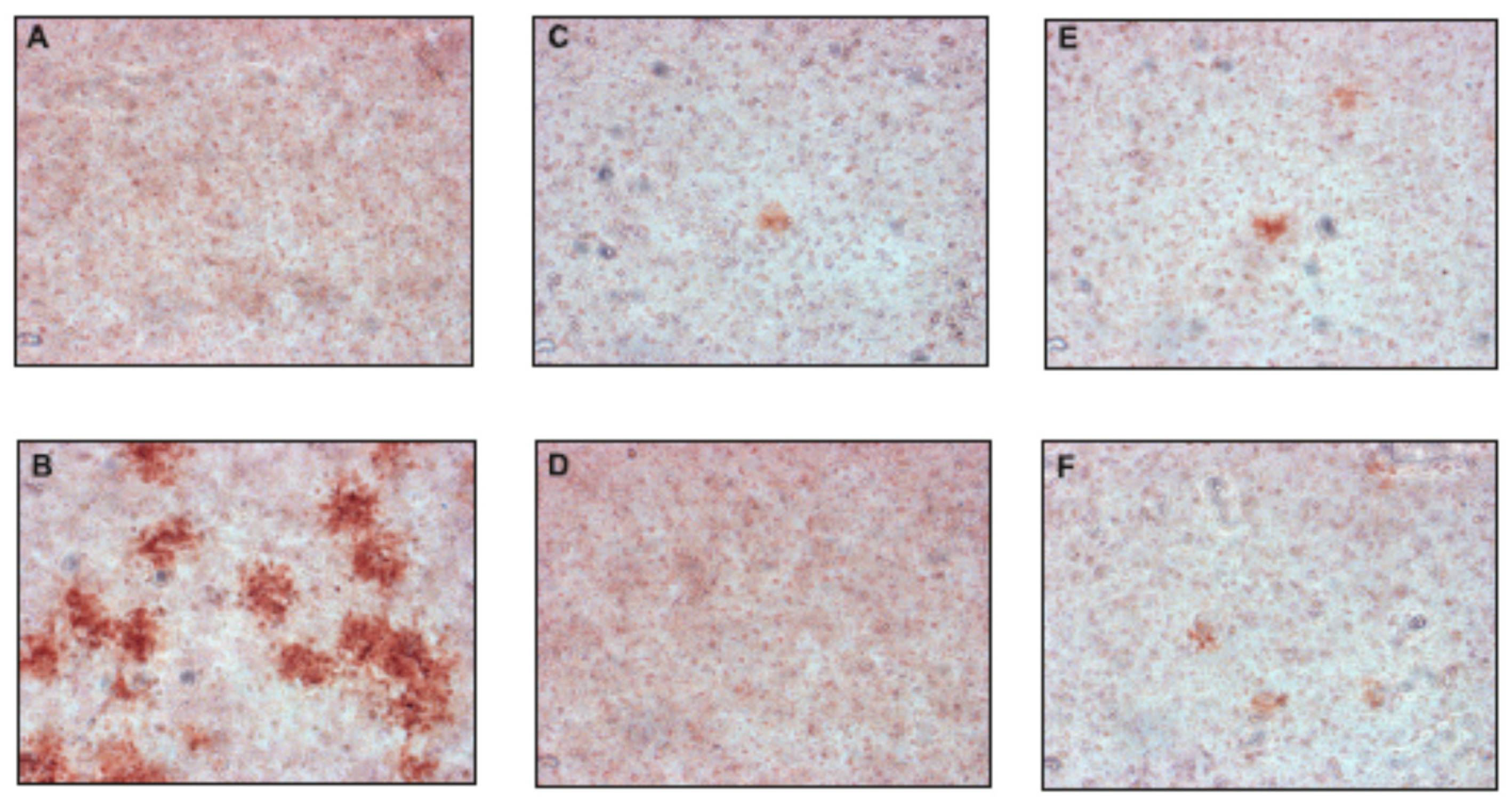 Molecules 24 01129 g003