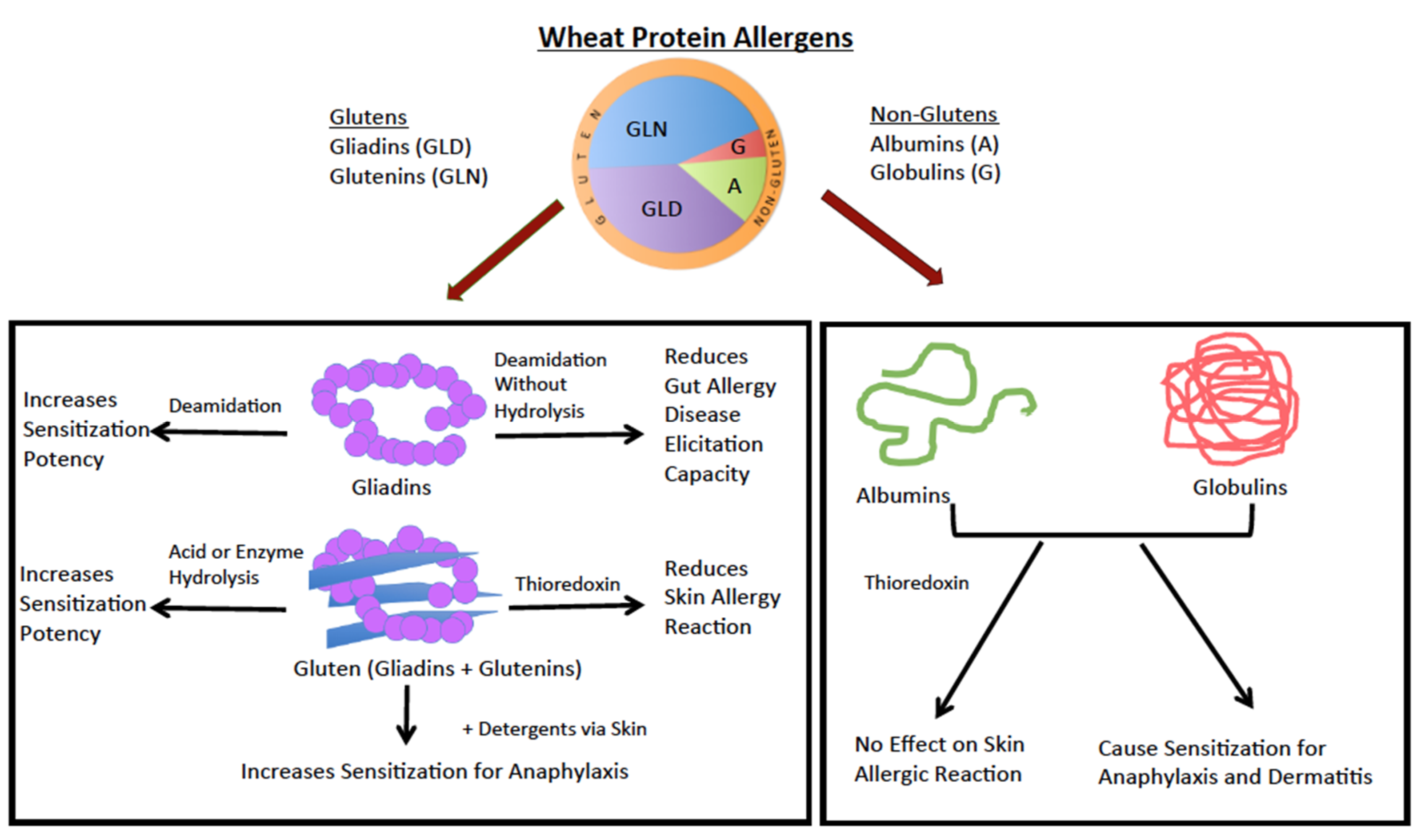 Molecules 24 01142 g002
