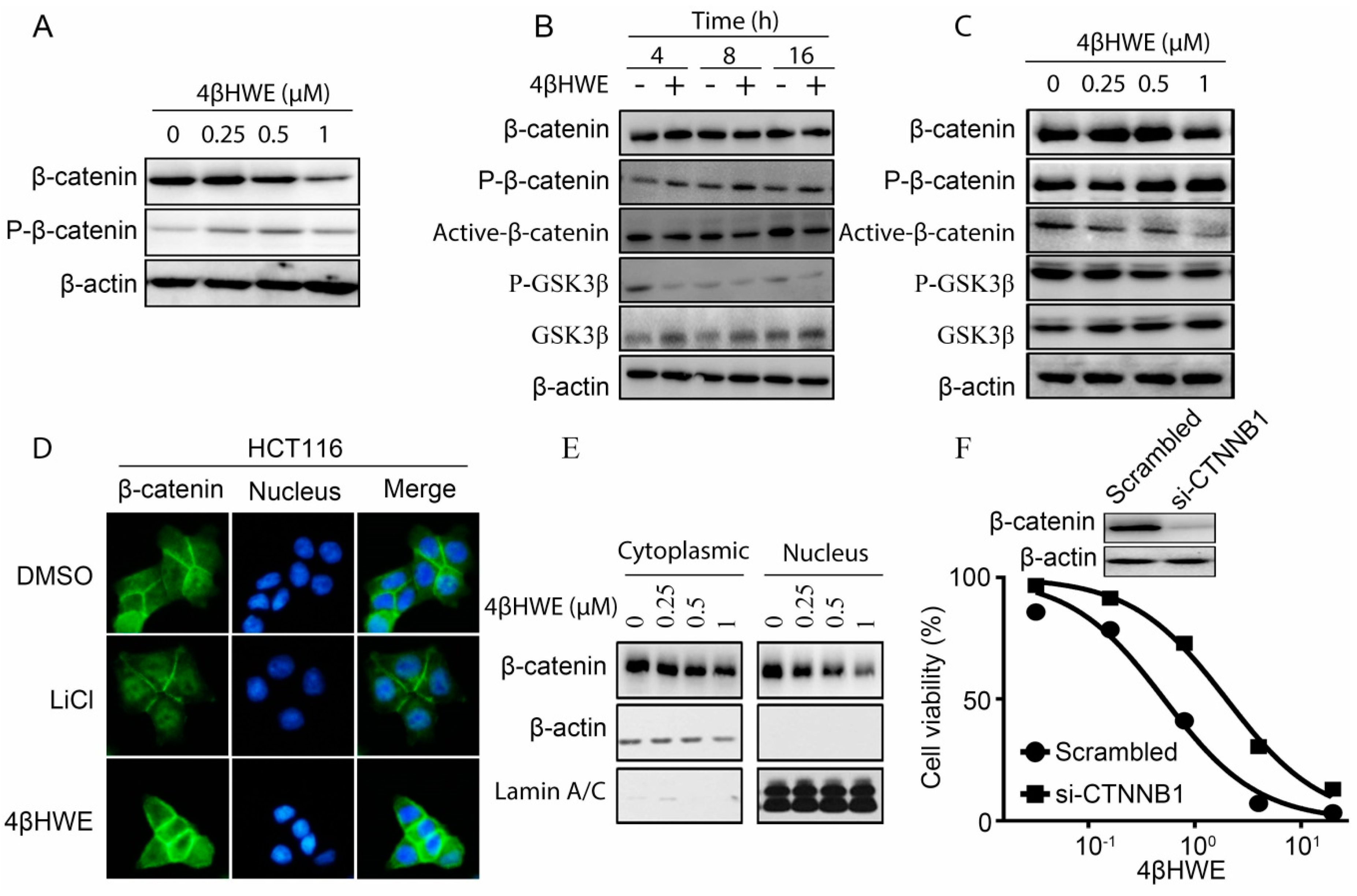 Molecules 24 01146 g003