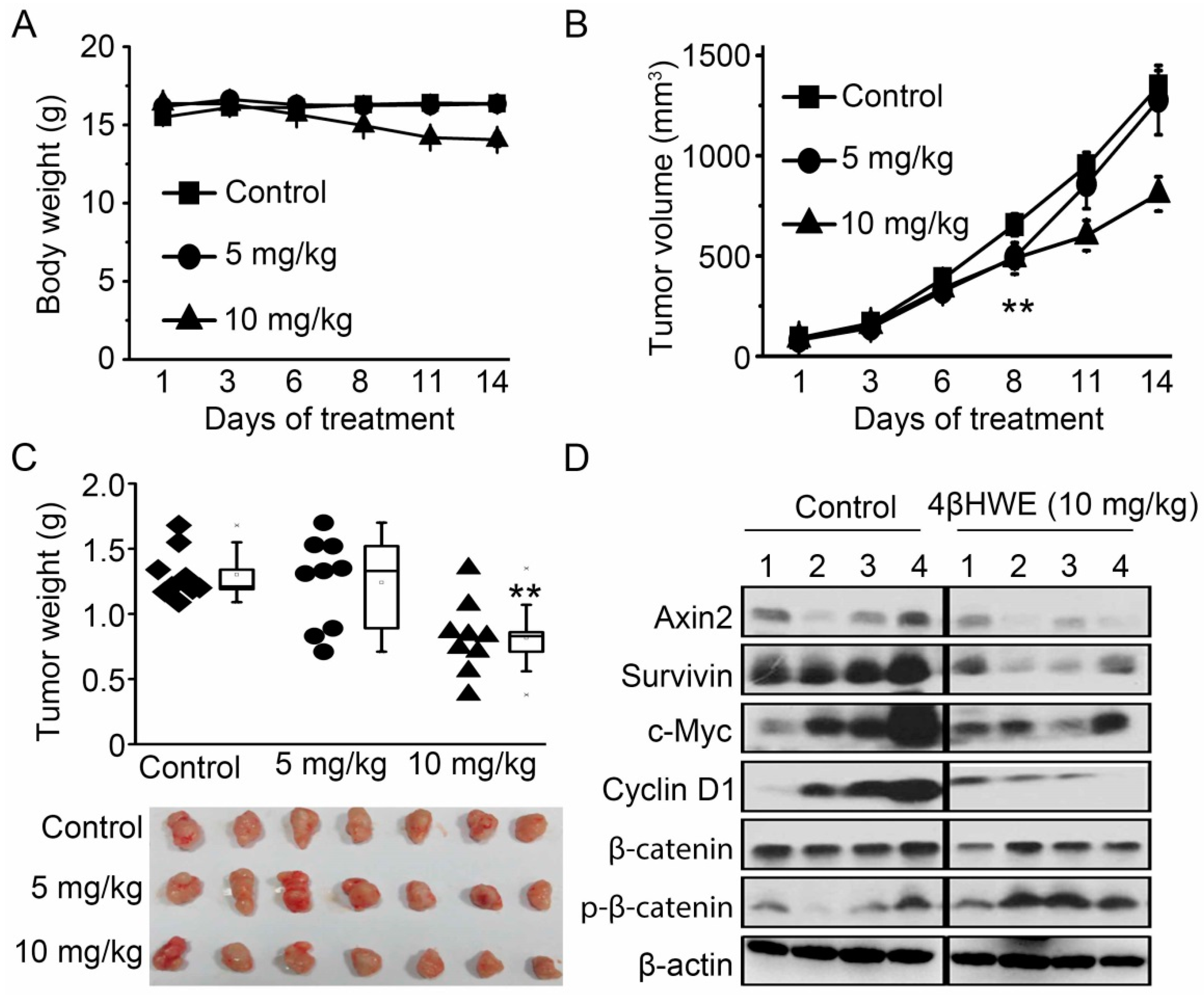 Molecules 24 01146 g006