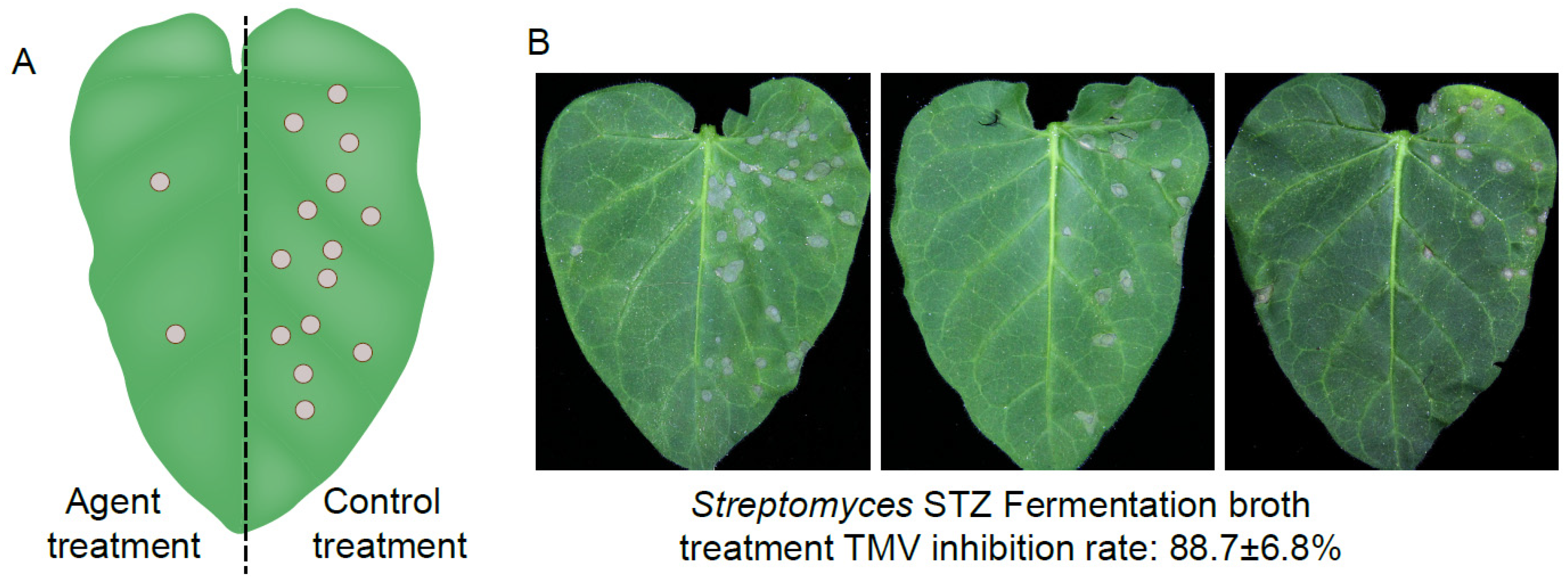 Molecules 24 01156 g001