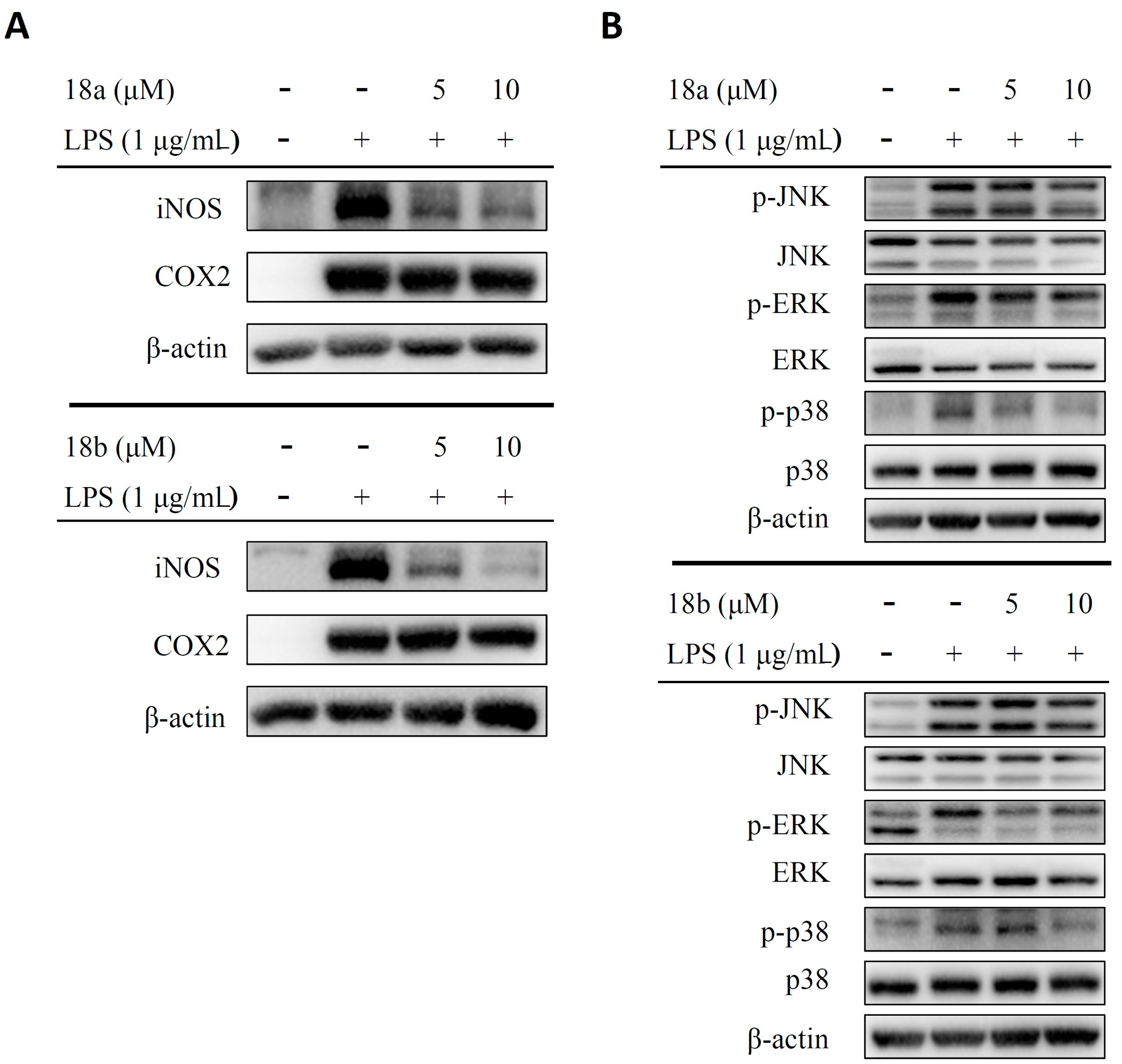 Molecules 24 01162 g005