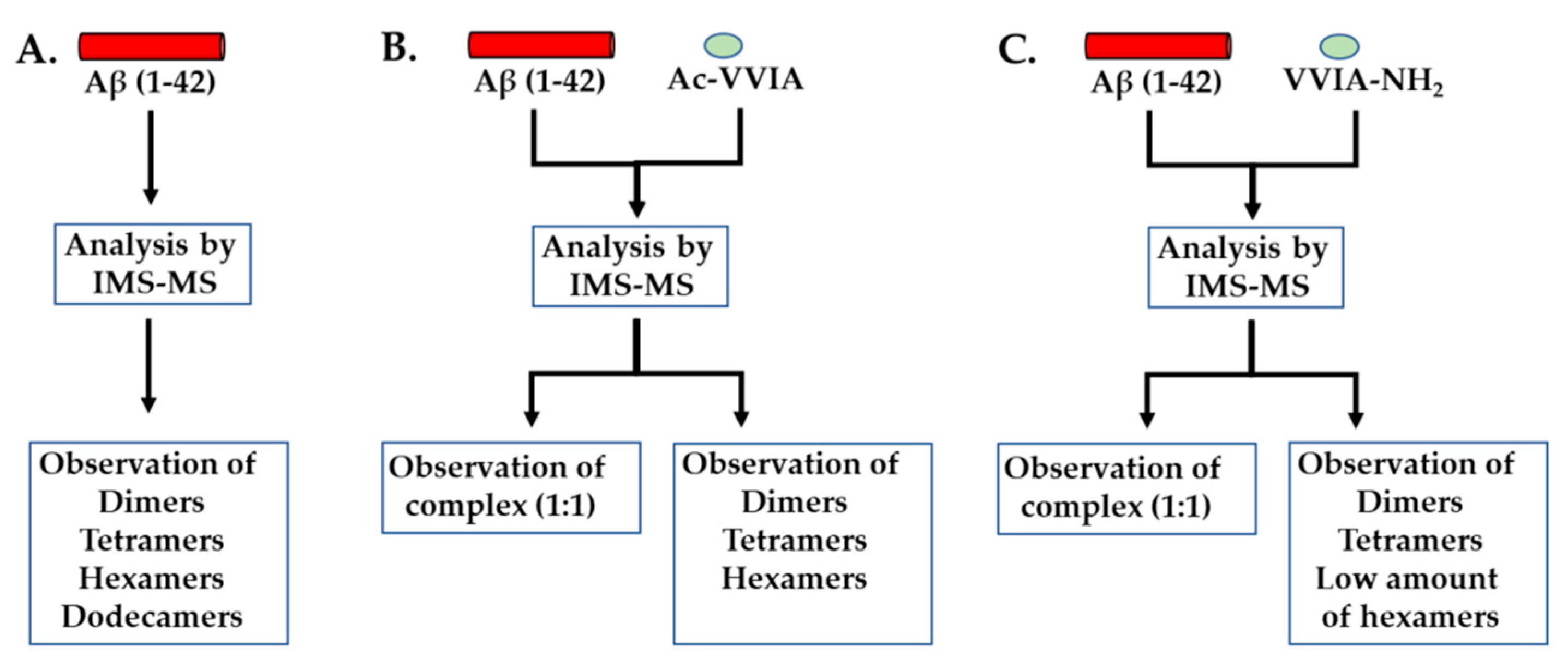 Molecules 24 01167 g004
