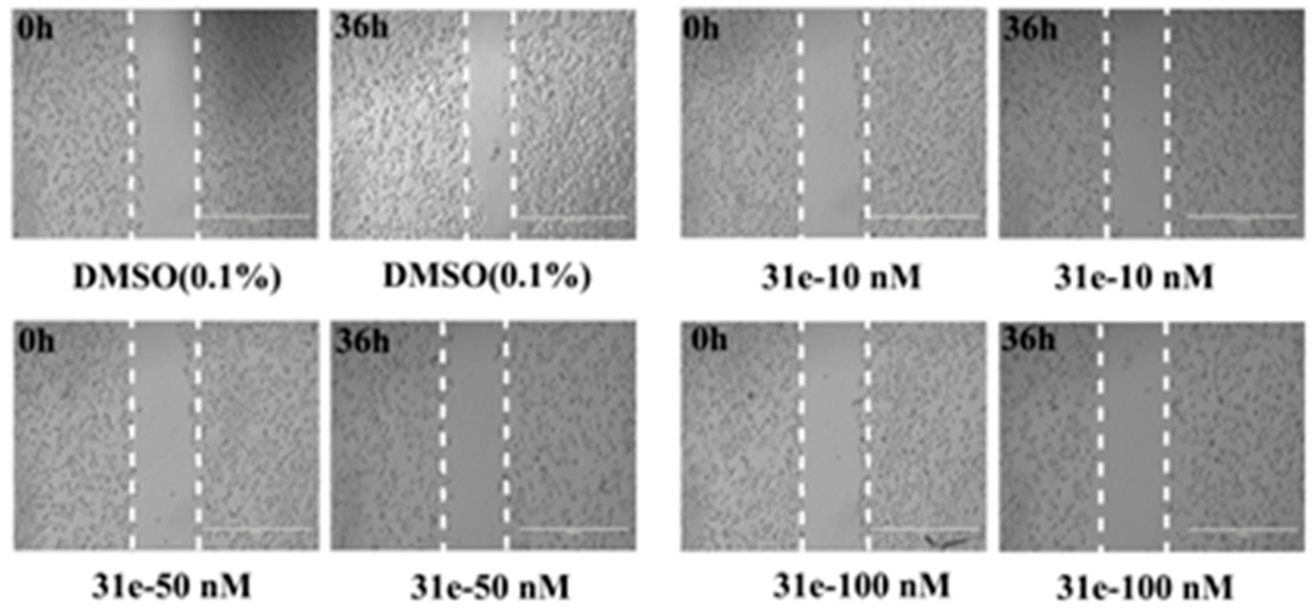 Molecules 24 01173 g005 Molecules 24 01173 g005