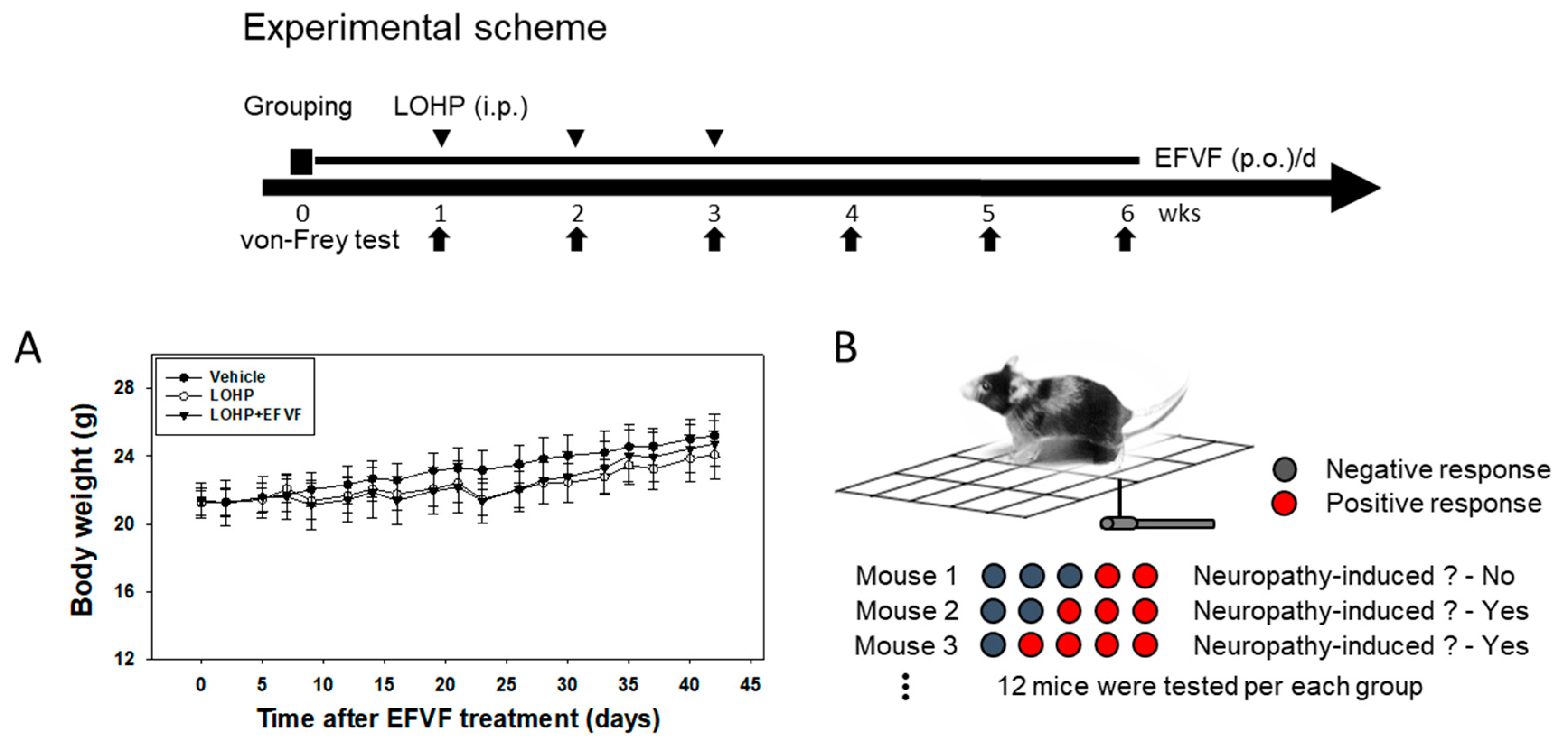 Molecules 24 01177 g003 Molecules 24 01177 g003