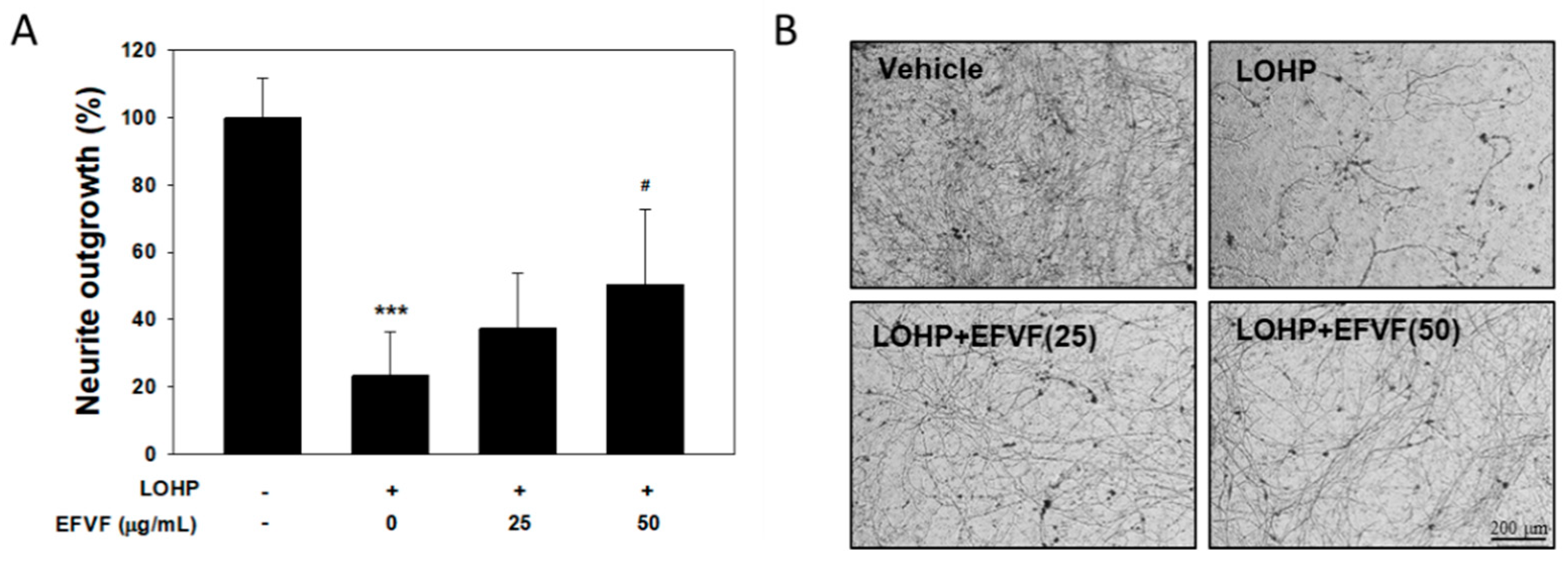 Molecules 24 01177 g008 Molecules 24 01177 g008