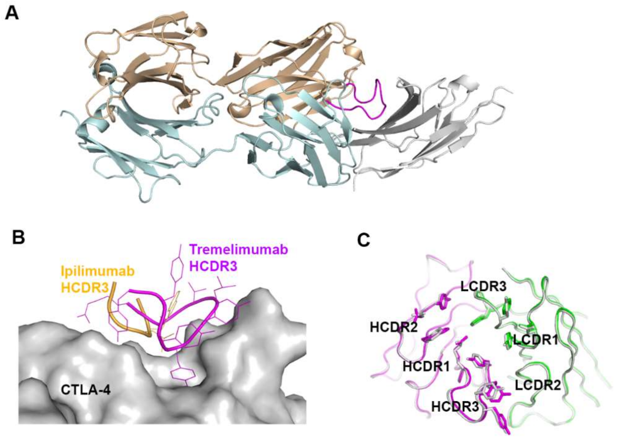 Molecules 24 01190 g009