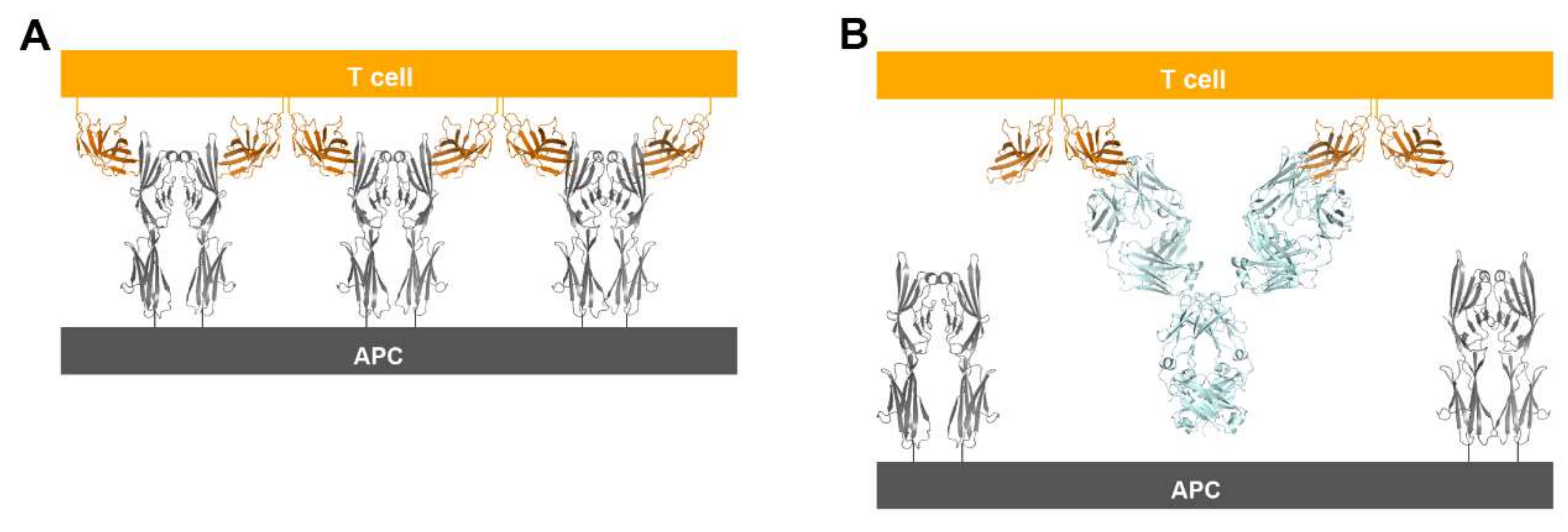 Molecules 24 01190 g010