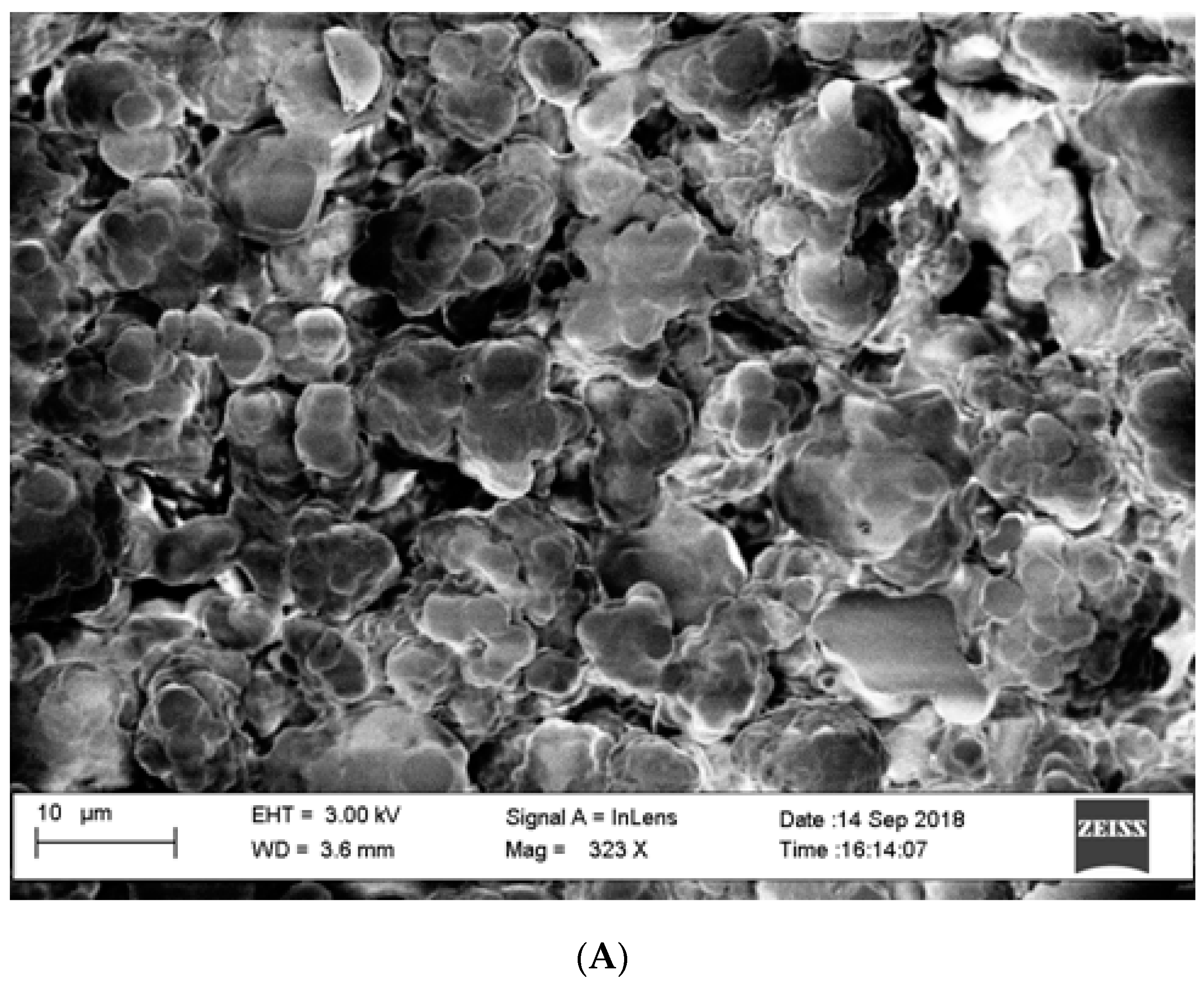 Molecules 24 01191 g002a Molecules 24 01191 g002a