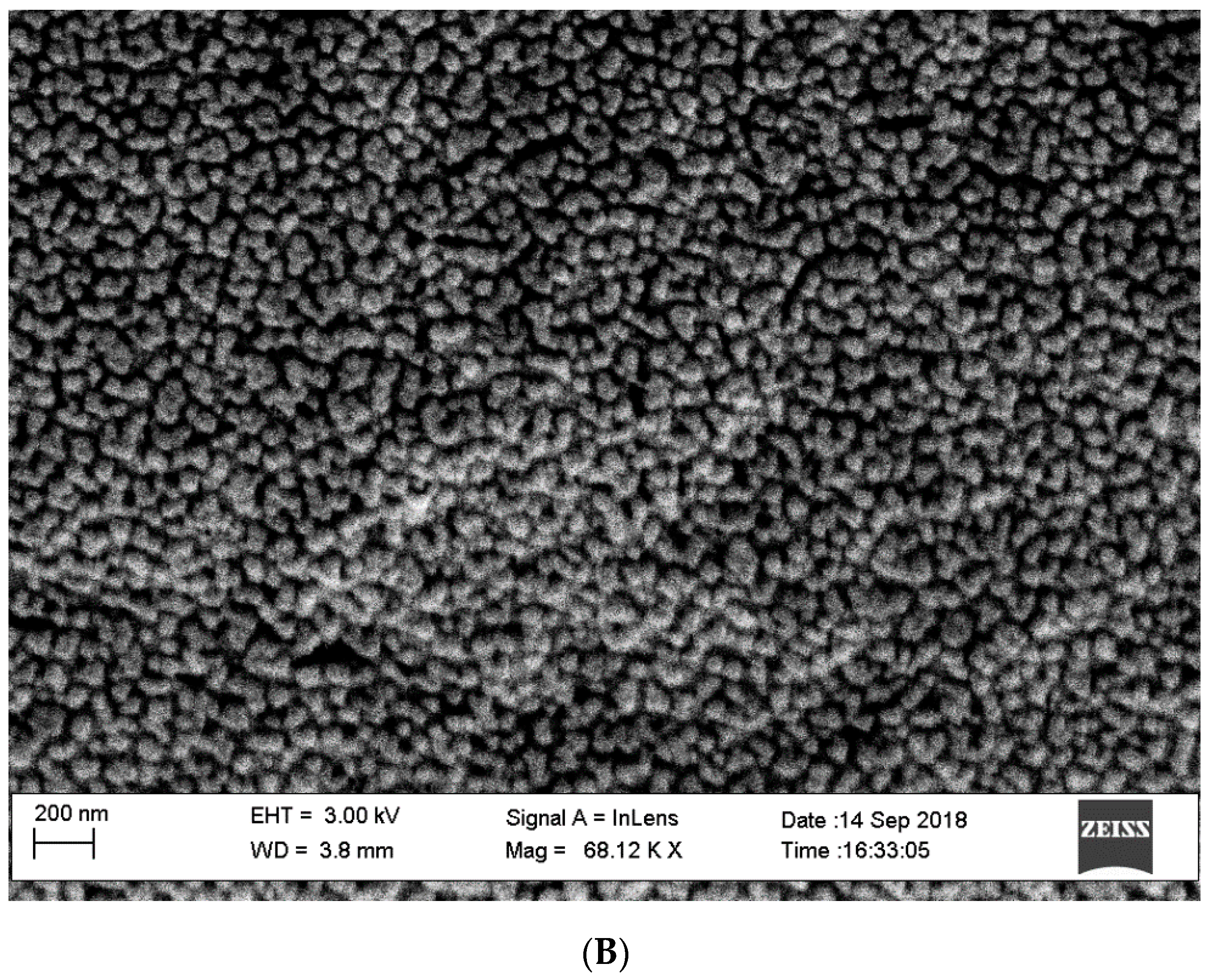 Molecules 24 01191 g002b Molecules 24 01191 g002b