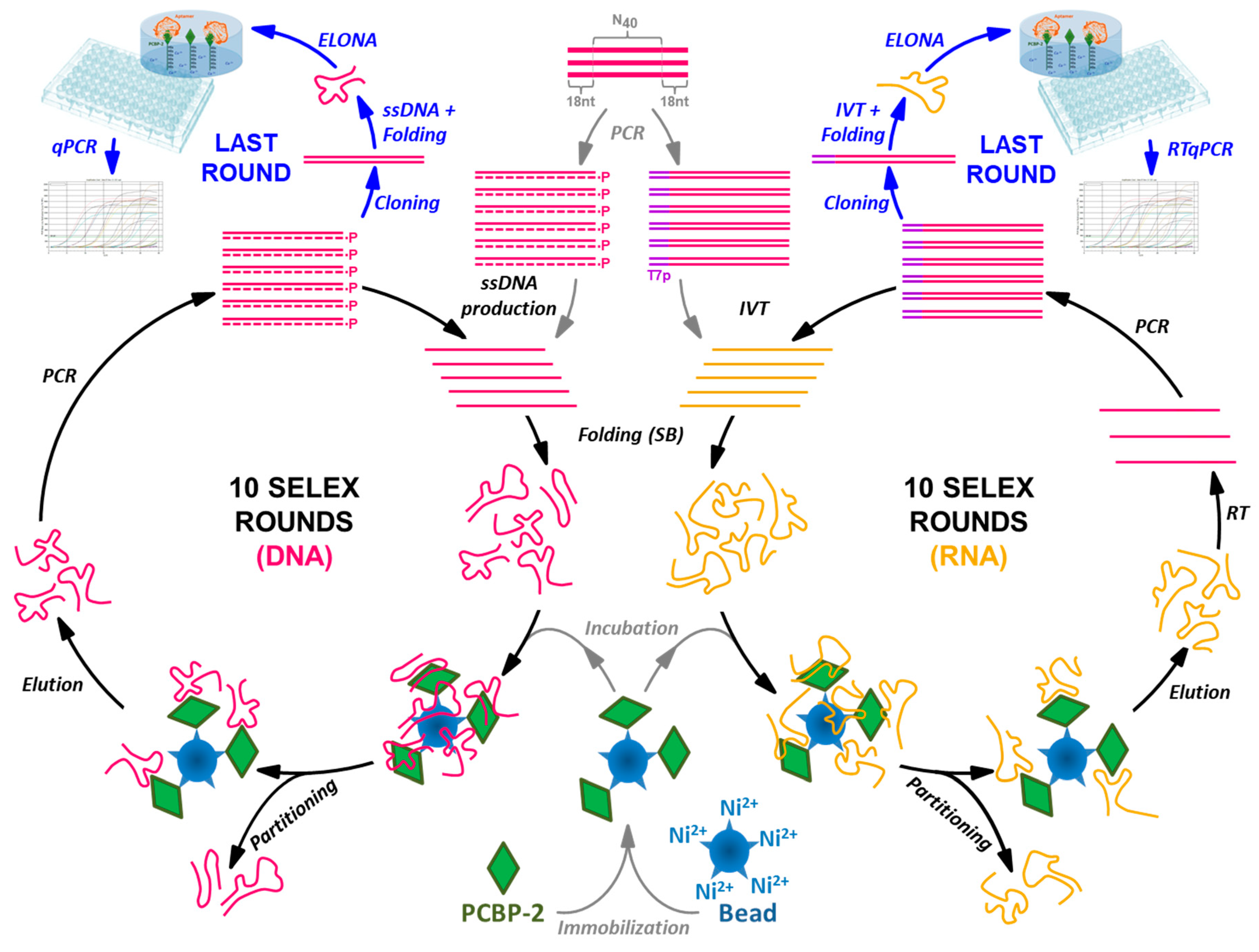 Molecules 24 01213 g001