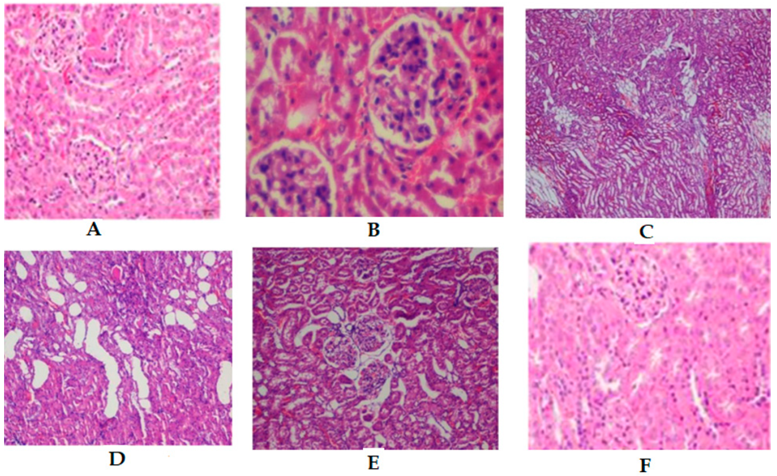 Molecules 24 01214 g006